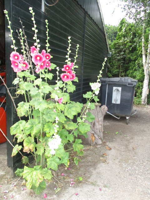 - image: 16
