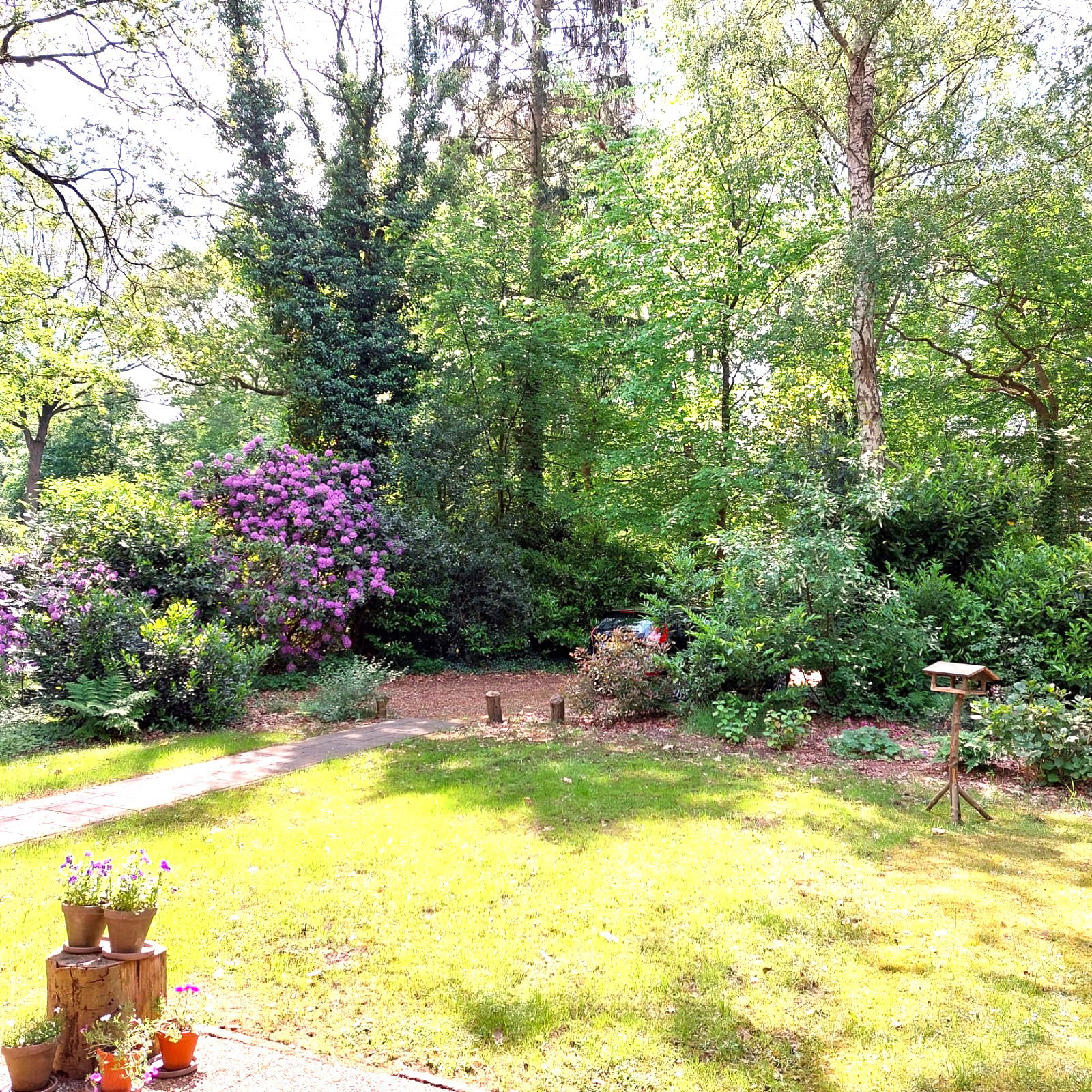 Natuurhuisje in Vledder