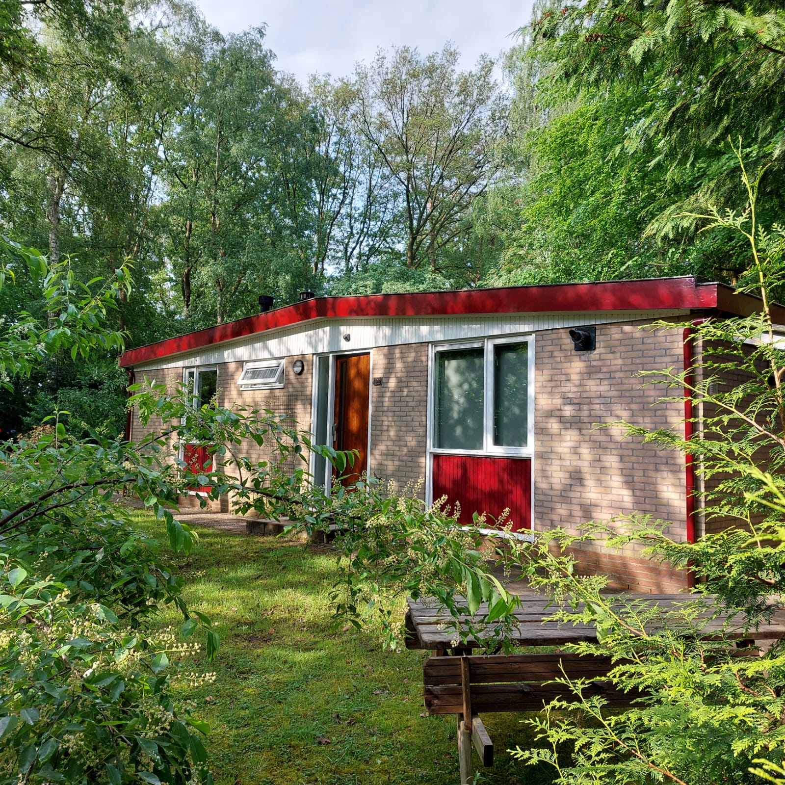 Natuurhuisje in Vledder