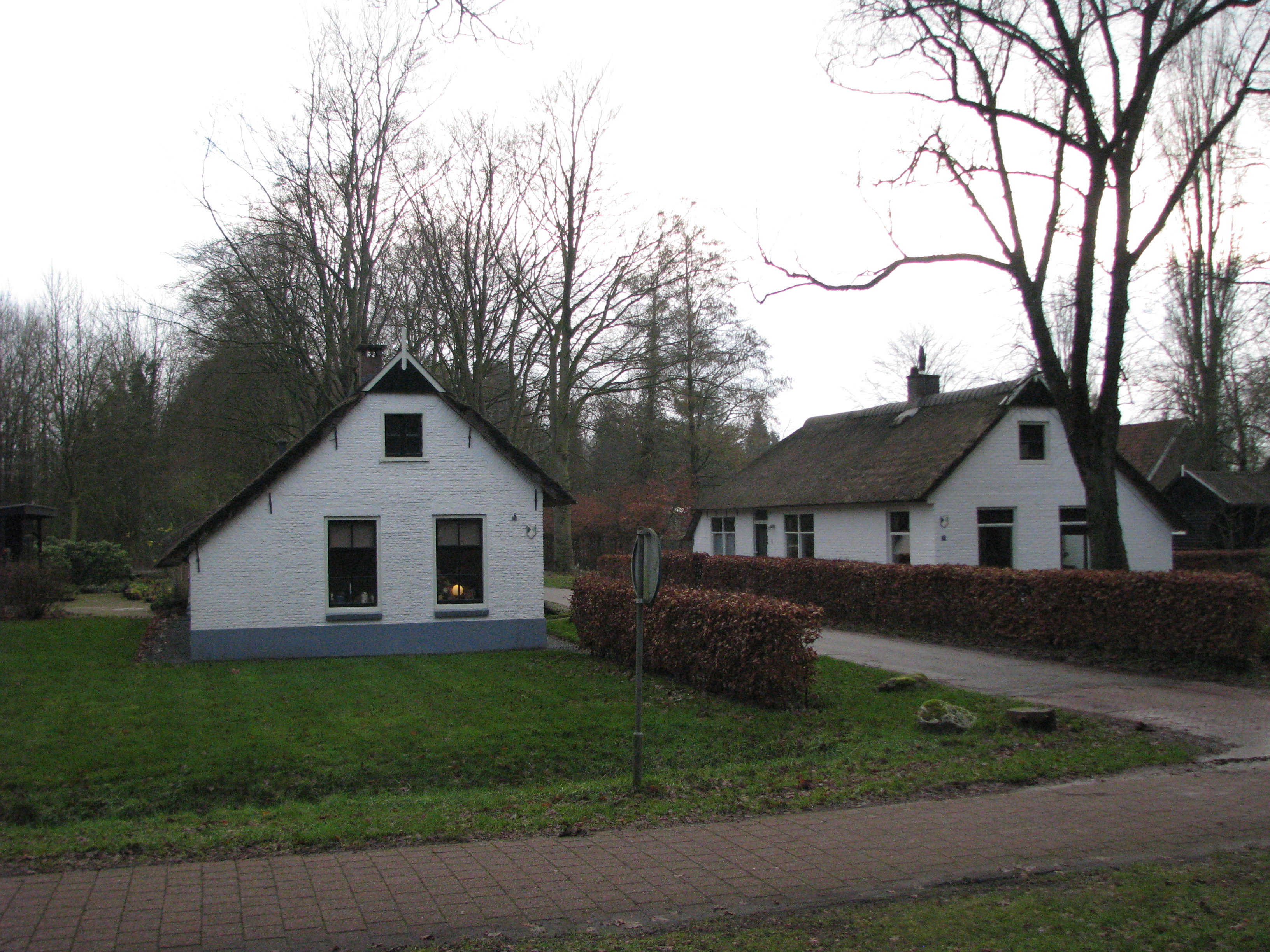 - image: 14
