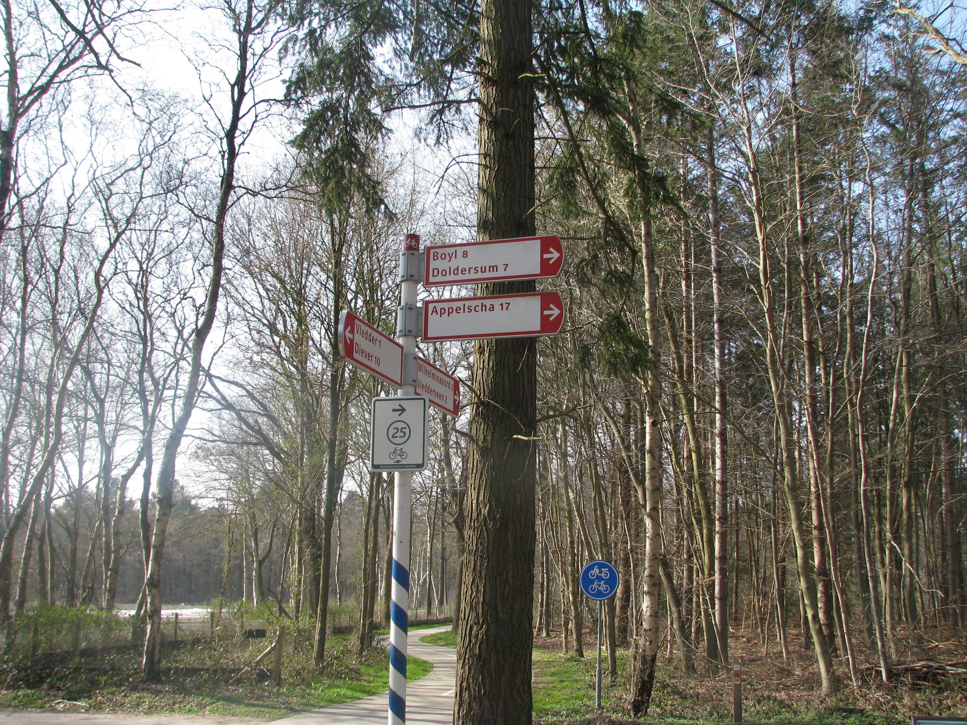 - image: 13