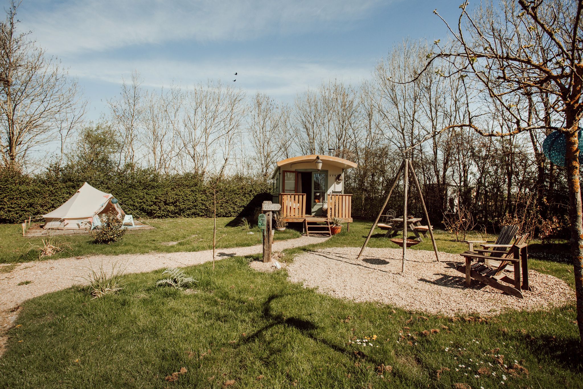 - image: 11