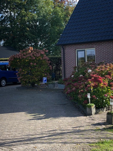 - image: 50
