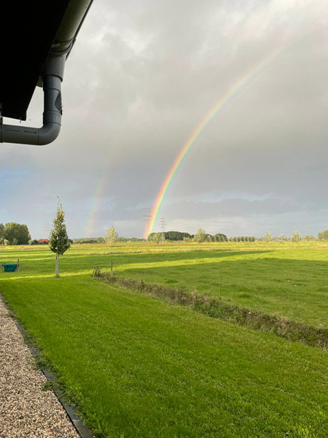 - image: 29