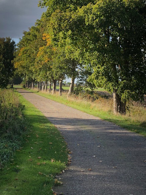 - image: 51