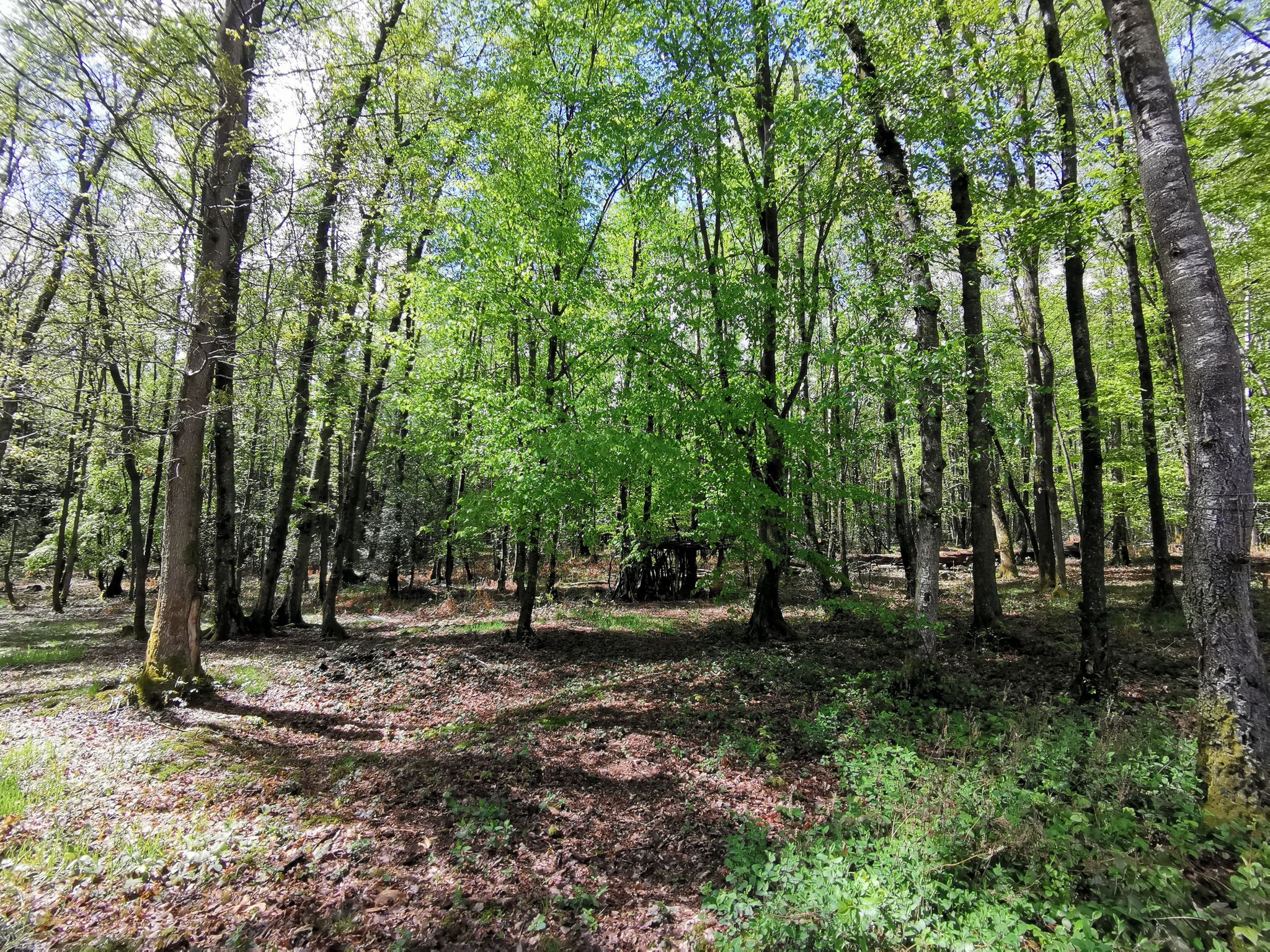 Natuurhuisje in Oignies-en-Thiérache