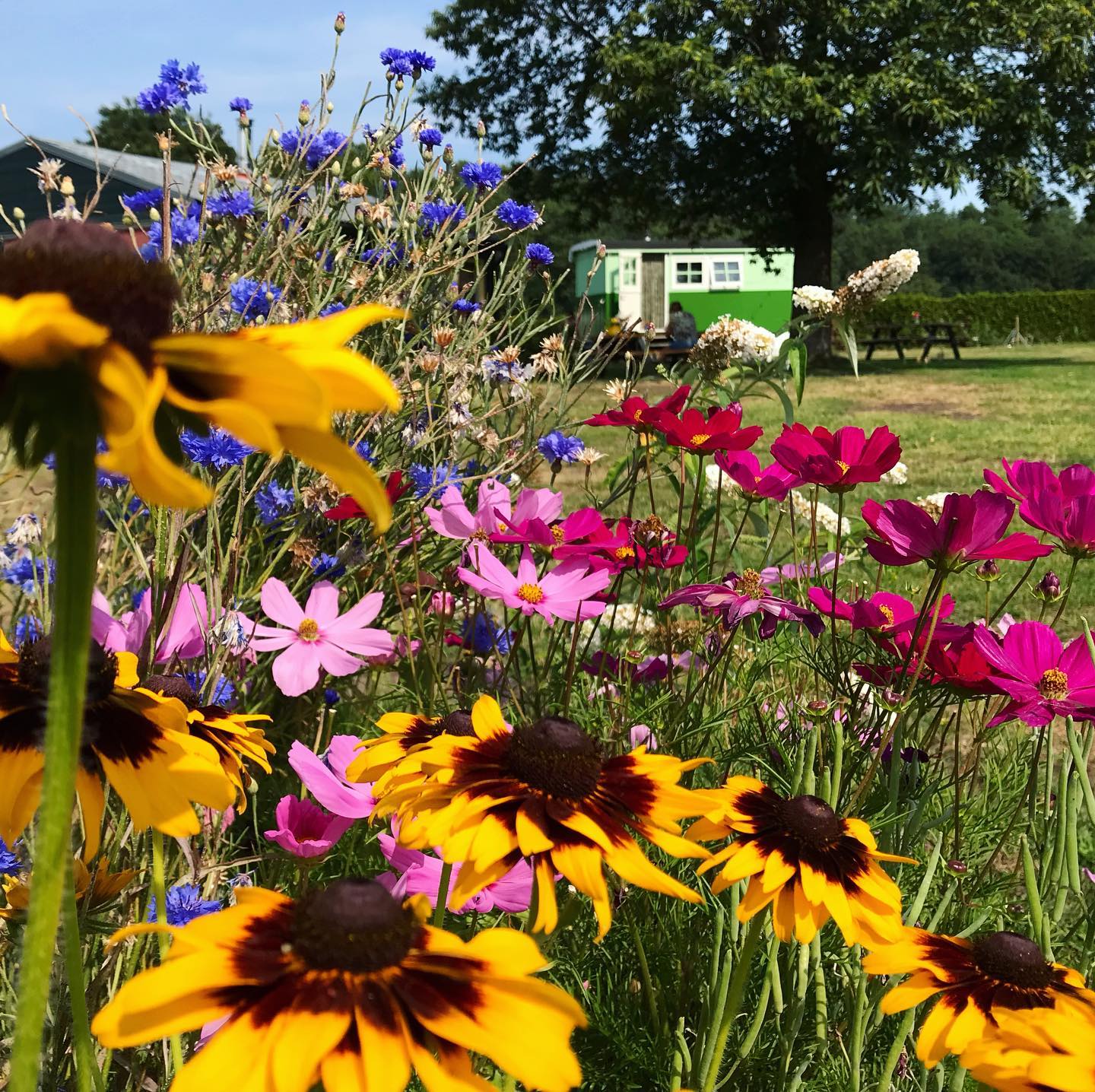 Natuurhuisje in Putten