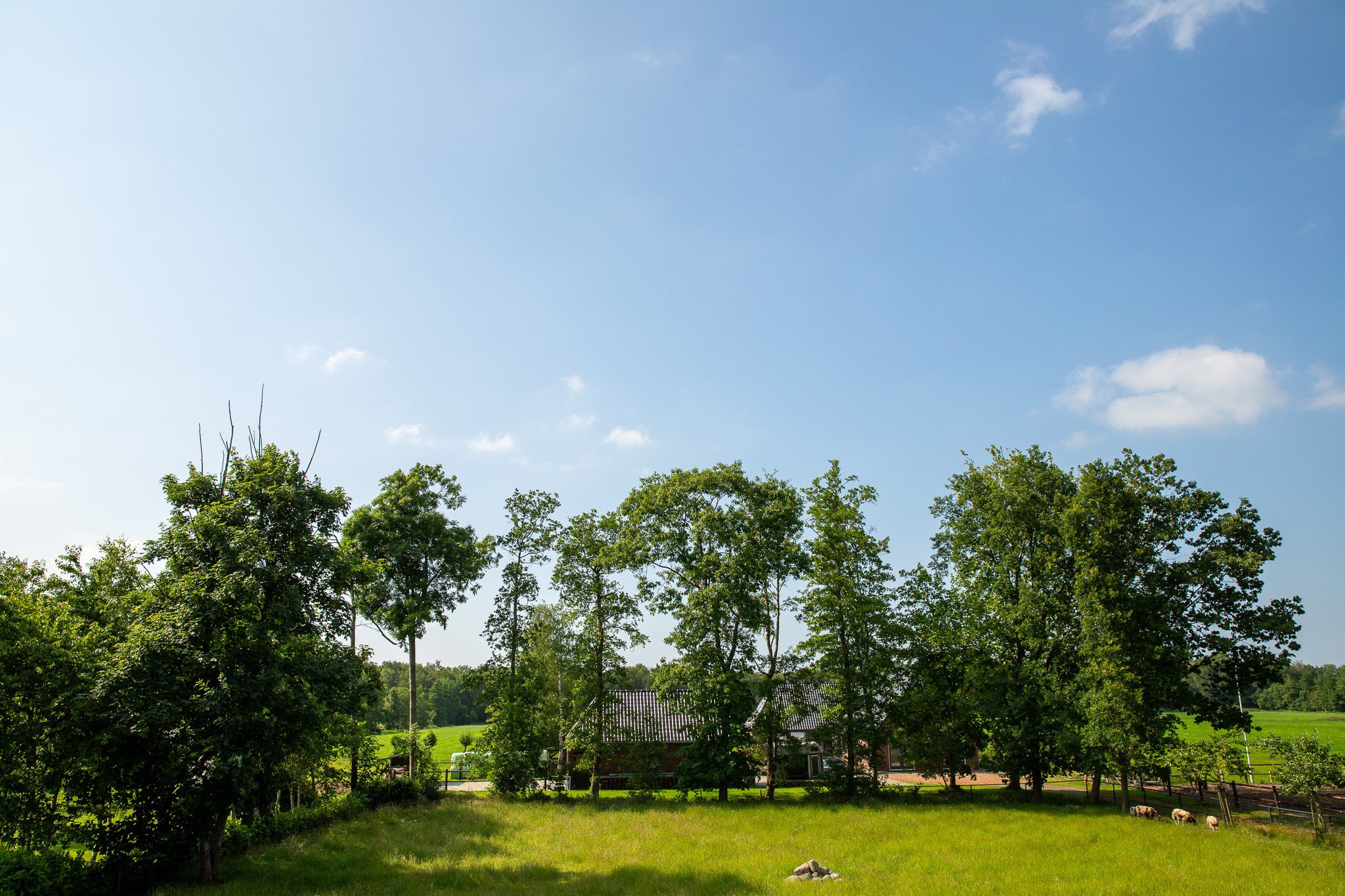 Naturhäuschen in Hoornsterzwaag