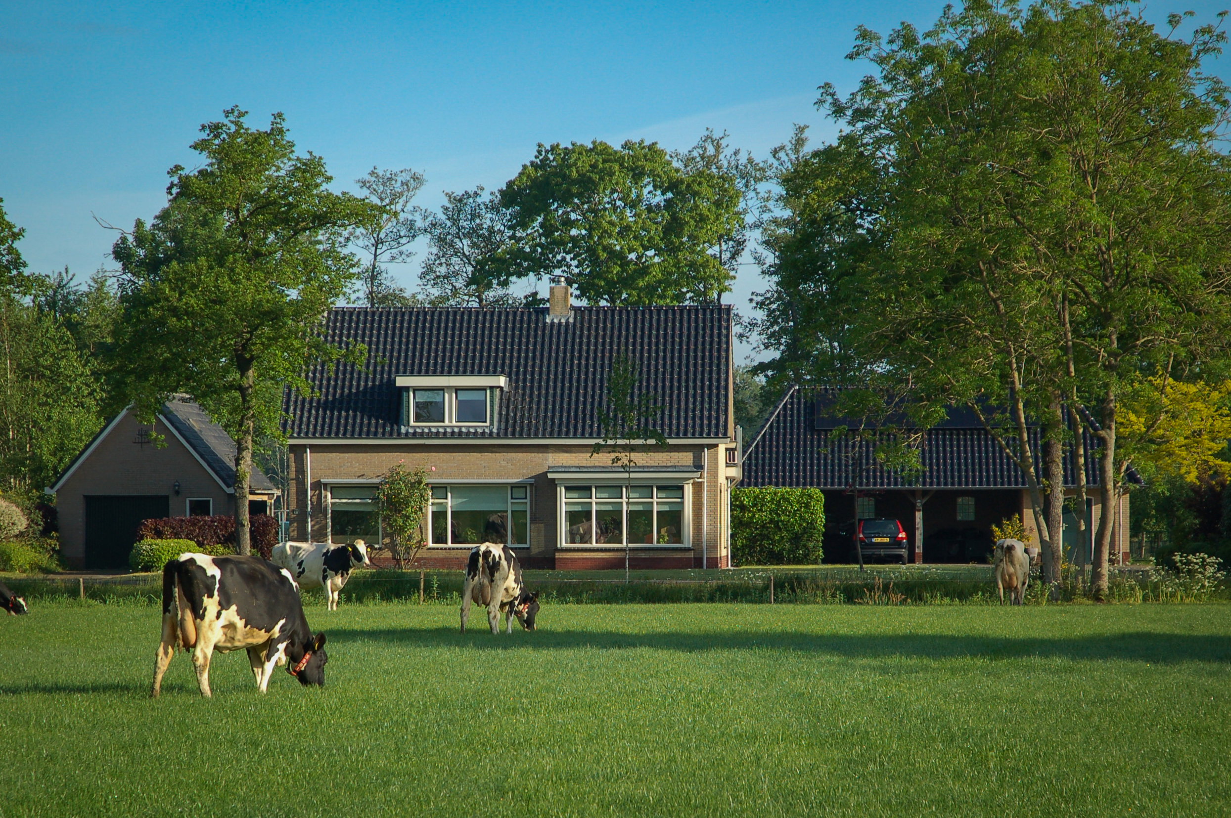 Natuurhuisje in Hoornsterzwaag