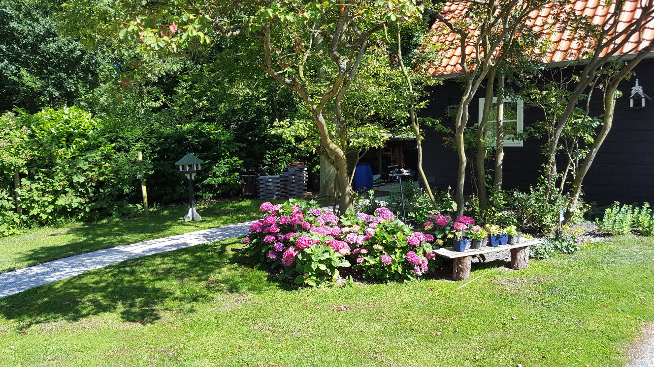 Naturhäuschen in Domburg