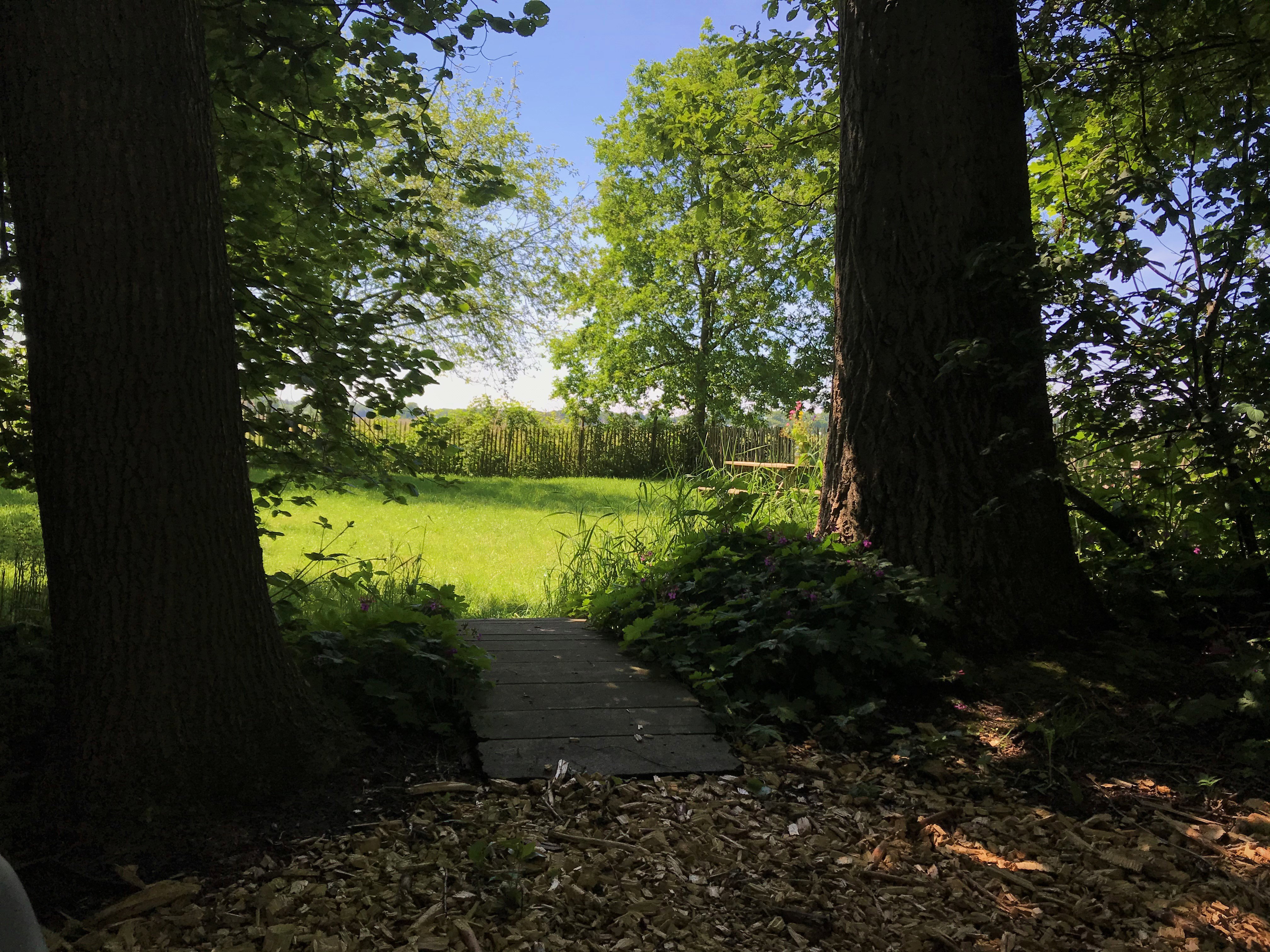 Naturhäuschen in Een-West