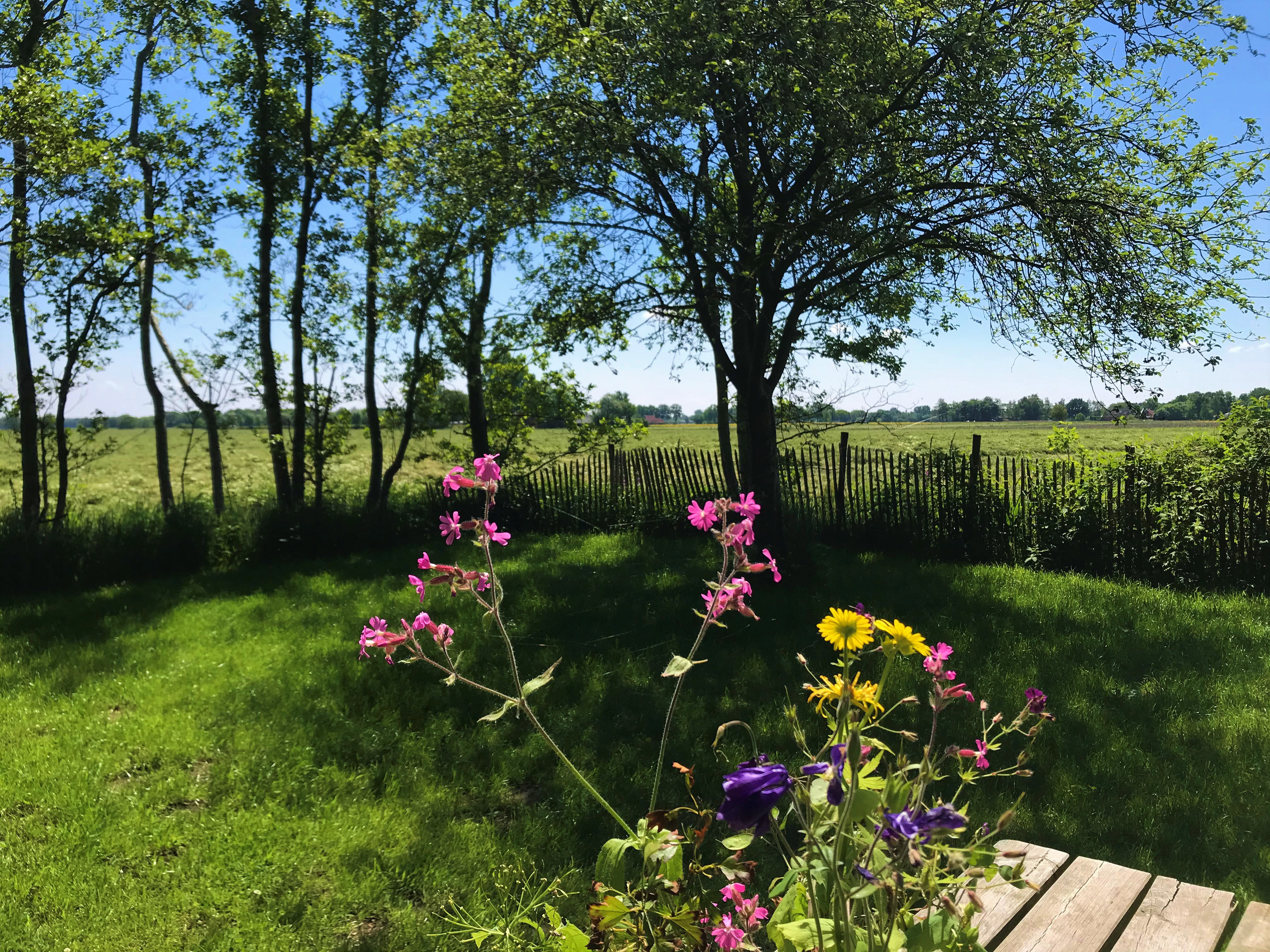 Naturhäuschen in Een-West