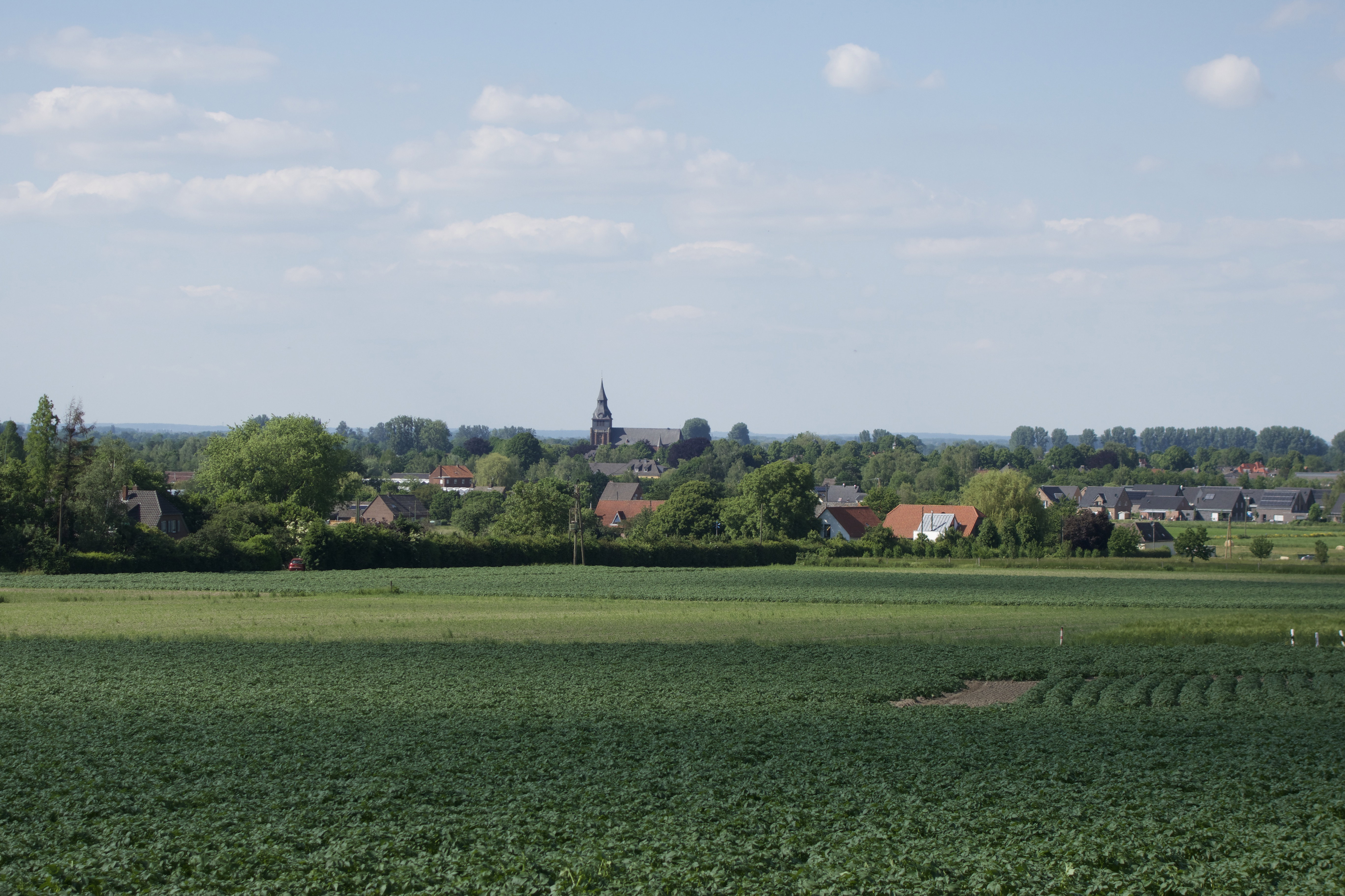 - image: 29