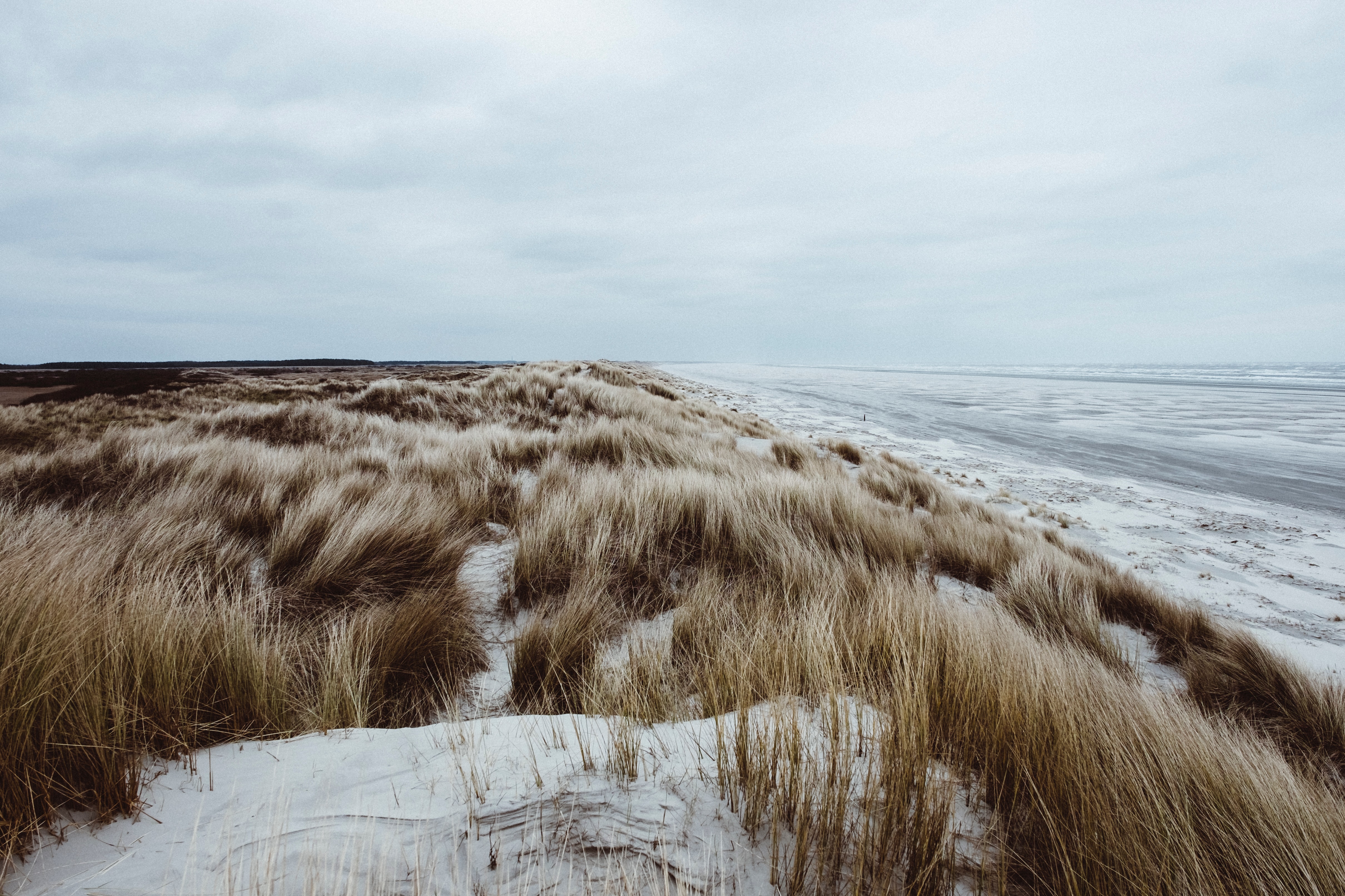 Natuurhuisje in Nes