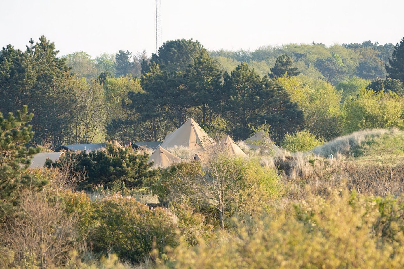 Natuurhuisje in Nes