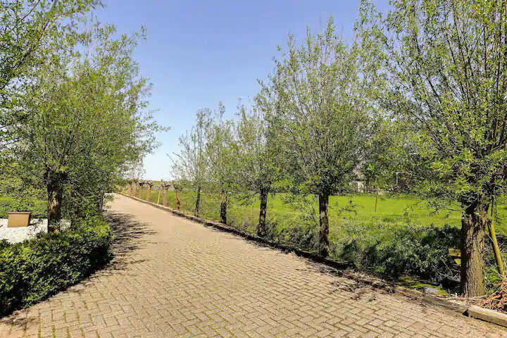 - image: 29