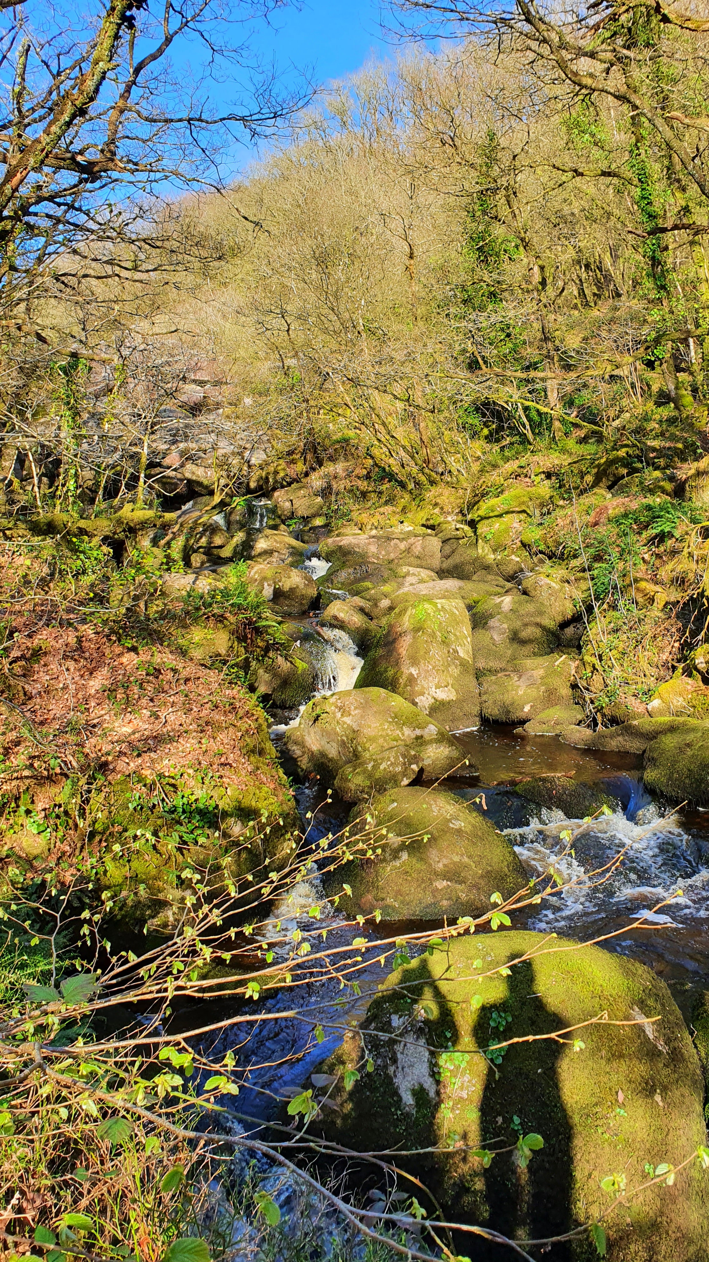 Natuurhuisje in Locarn