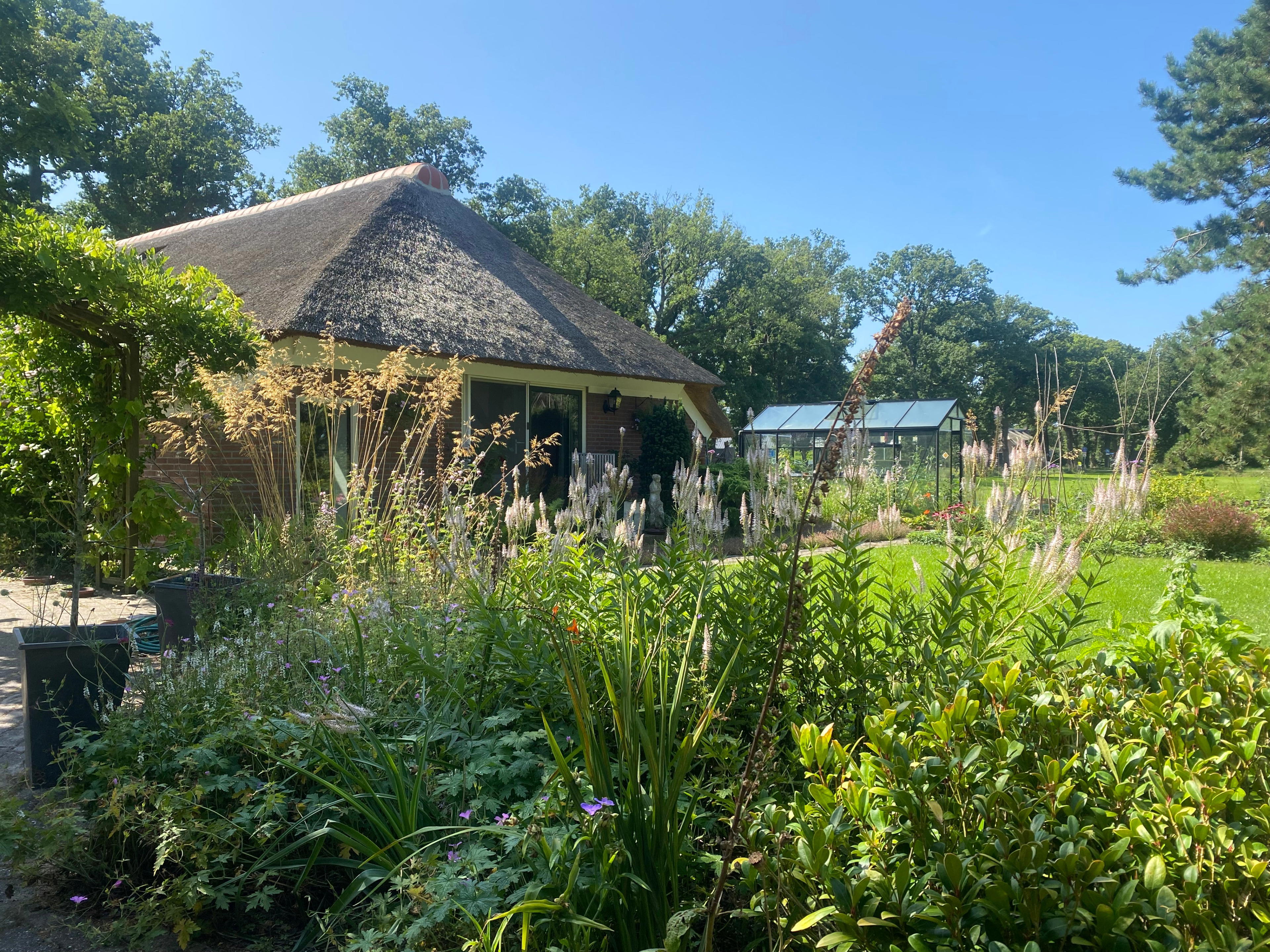 Natuurhuisje in Ruinen