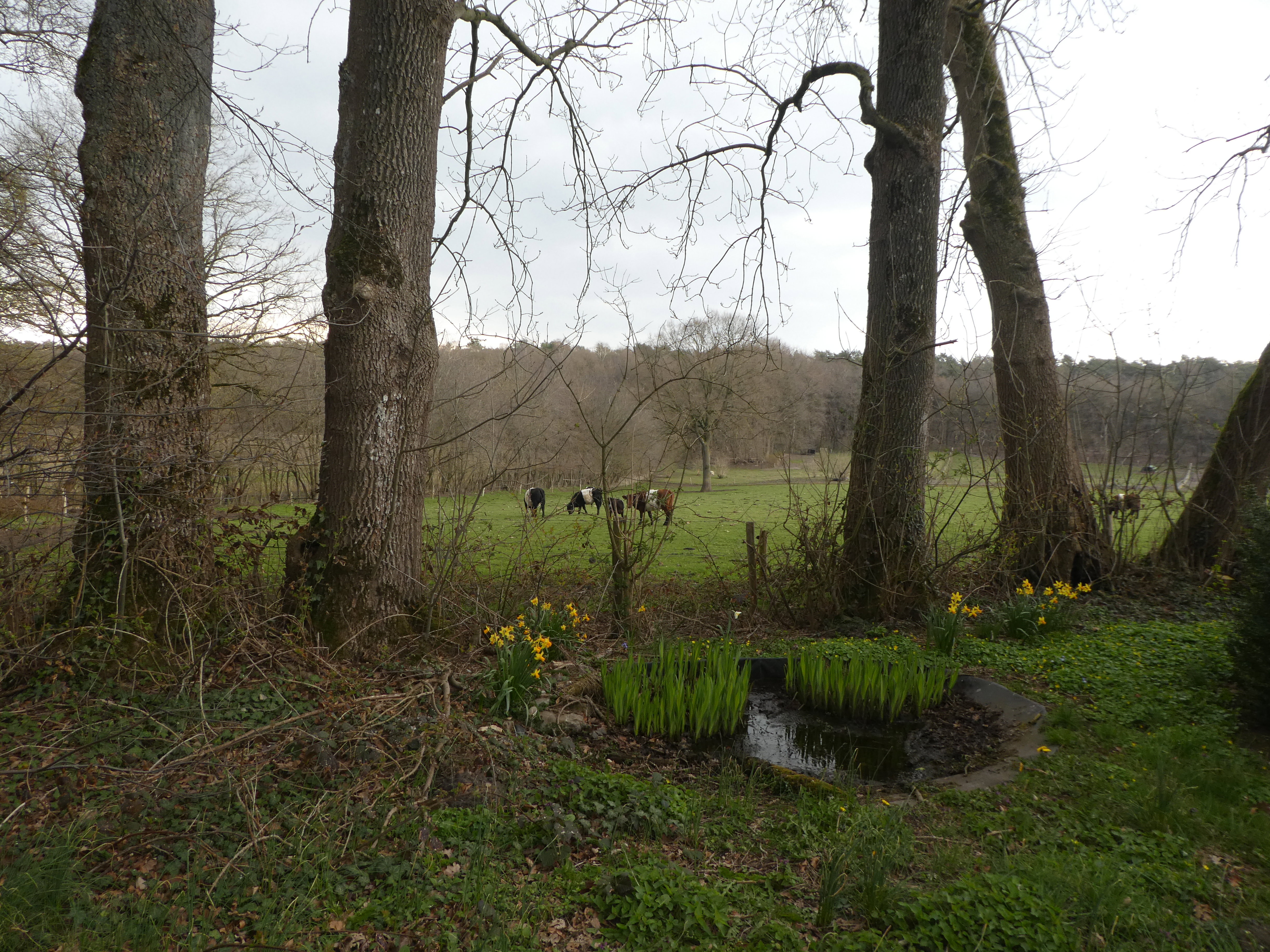 Naturhäuschen in Garderen