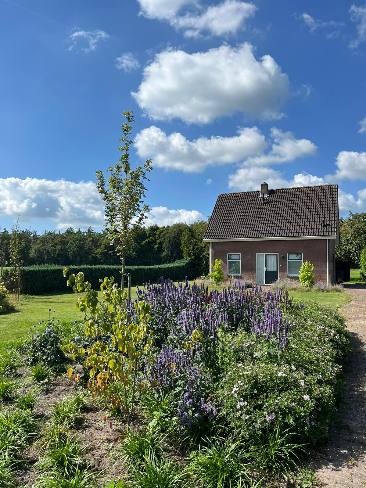 Natuurhuisje in Rheezerveen
