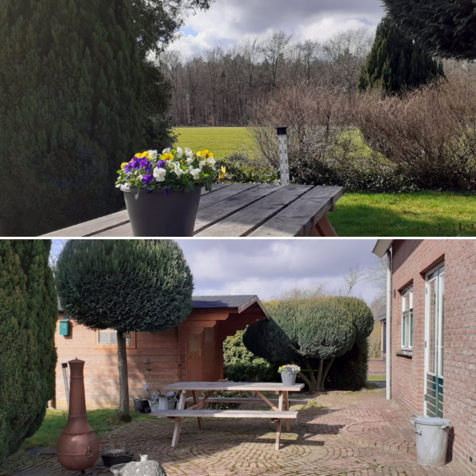 Maison nature à Rheezerveen
