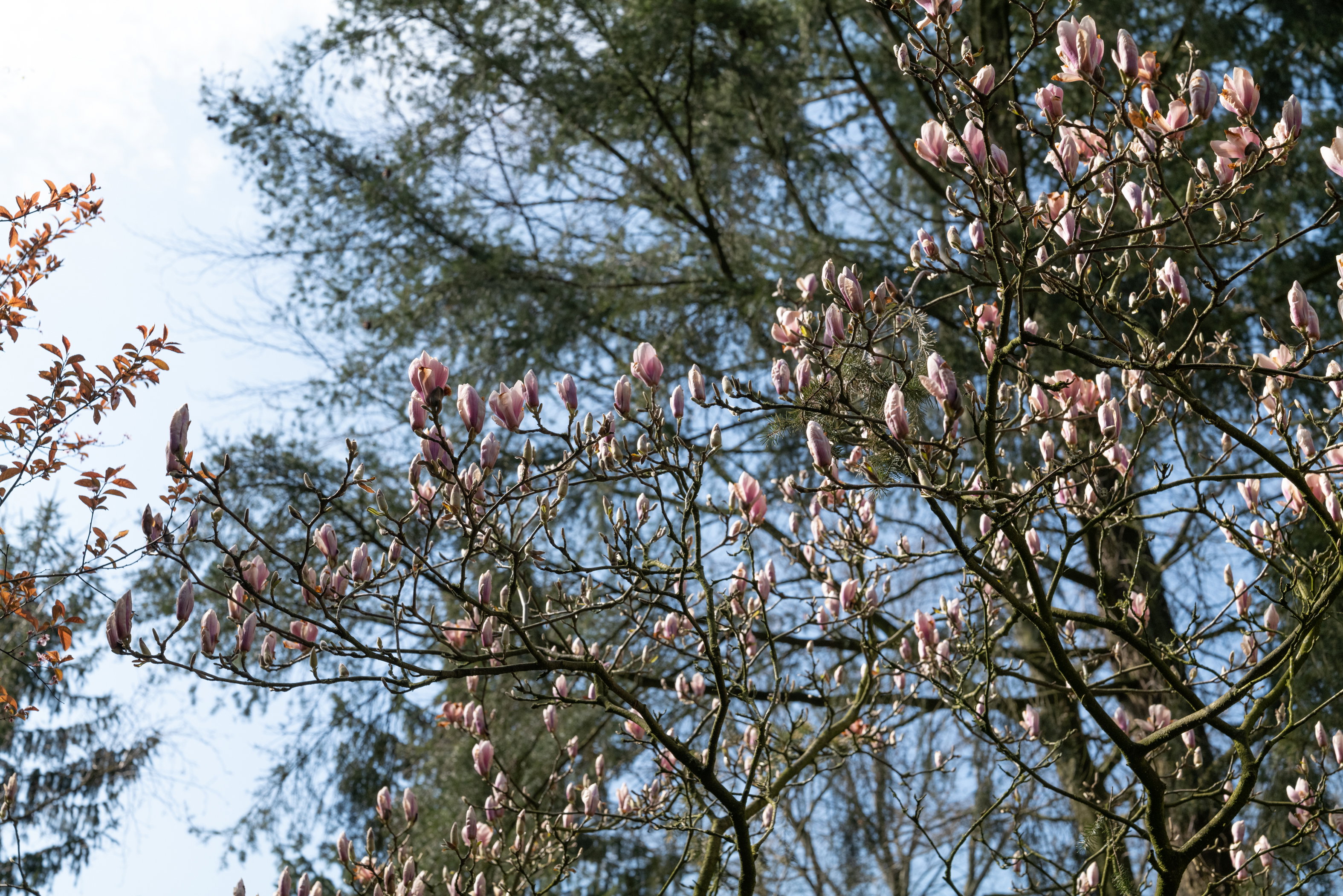 Naturhäuschen in Putten