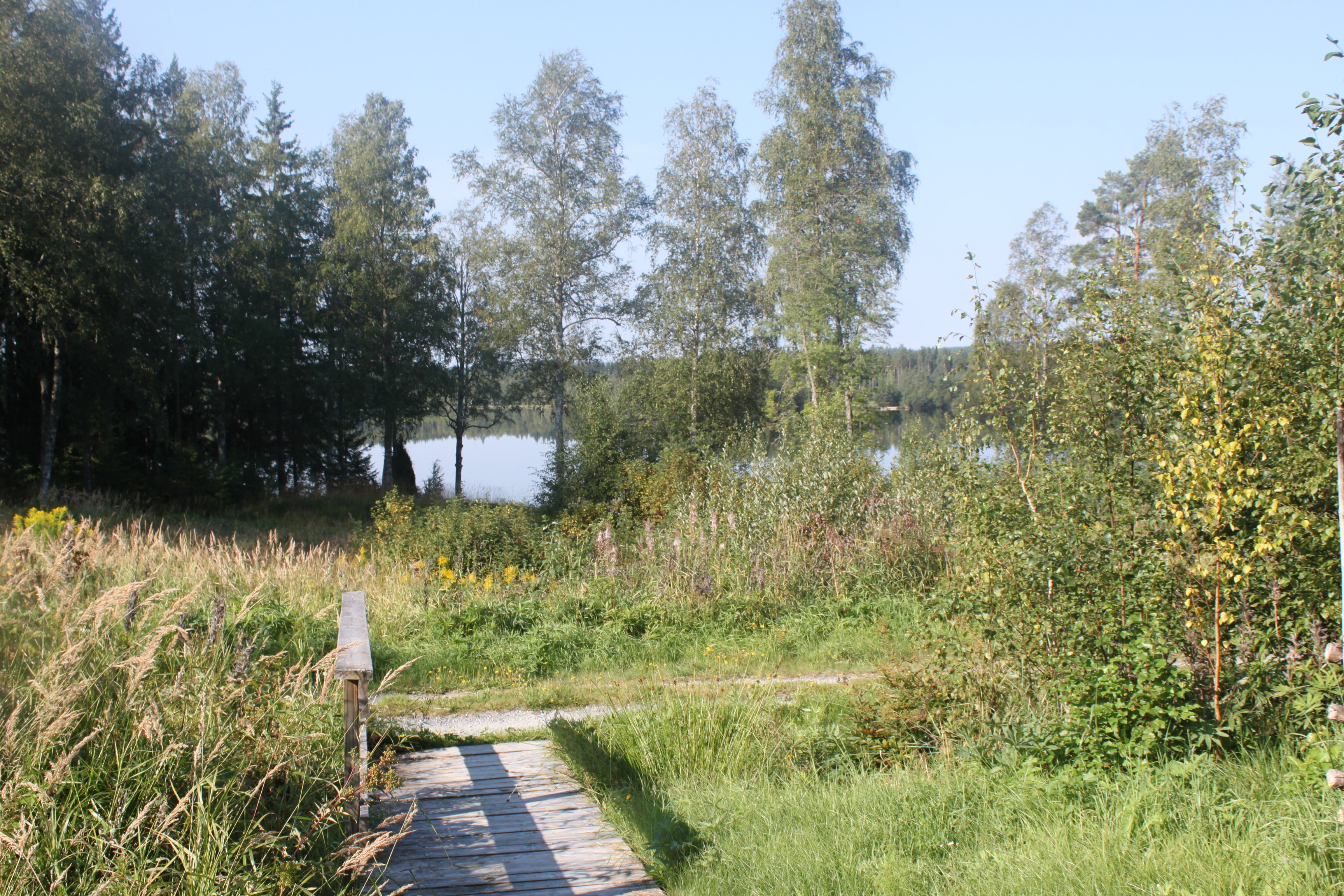- image: 14