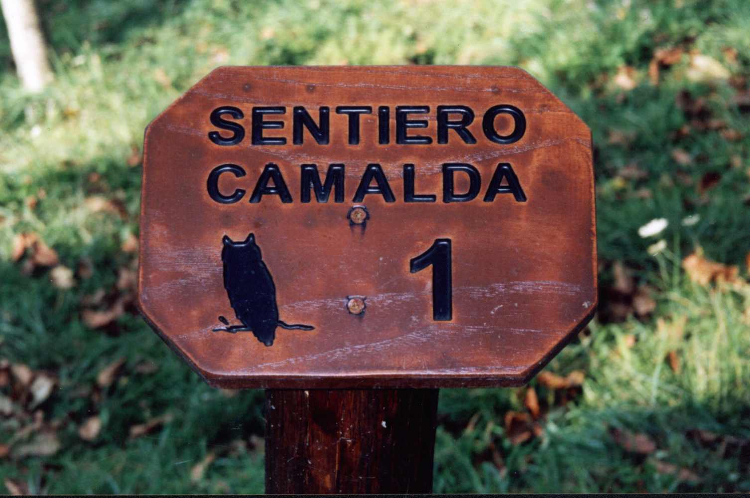 - image: 26