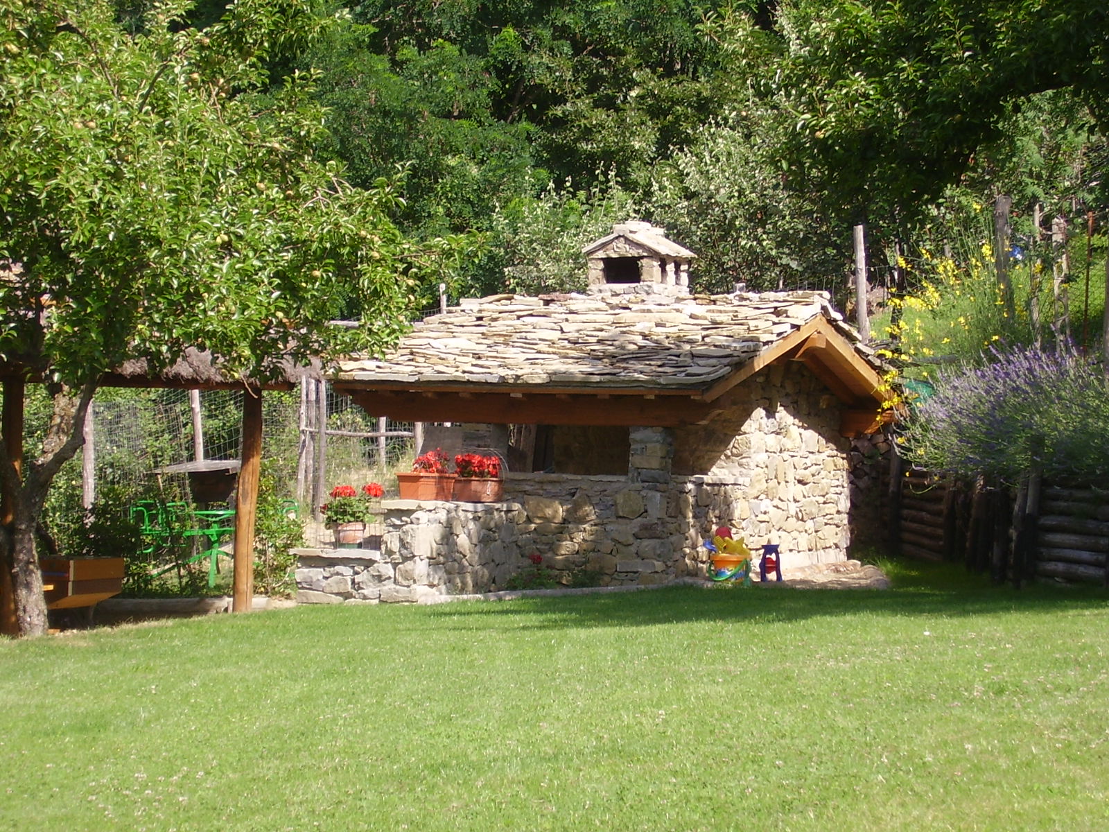 - image: 25