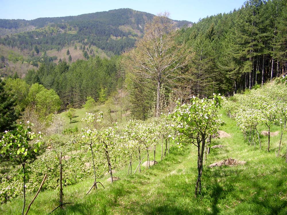 - image: 27