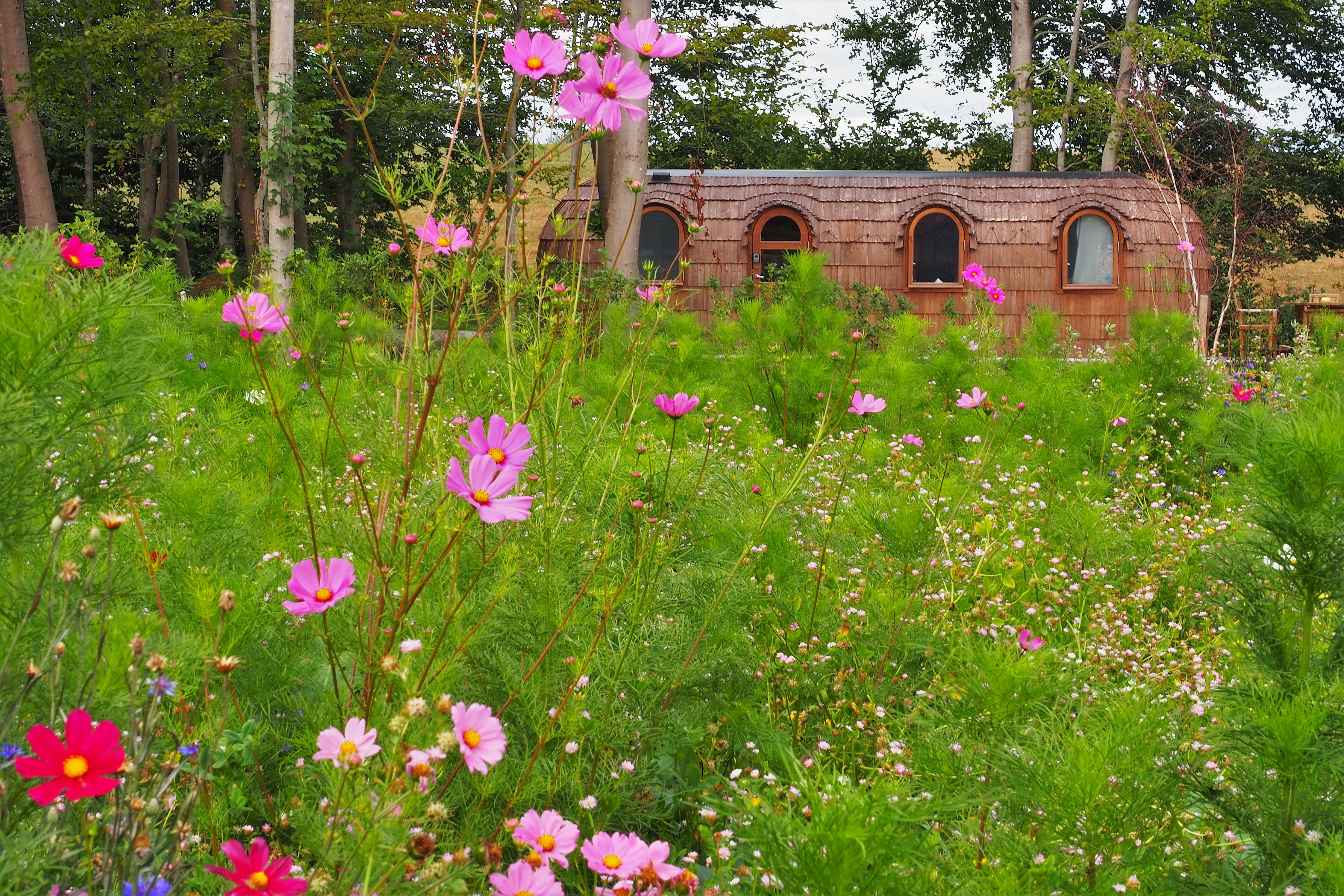 Maison nature à Vaux-sur-Sûre