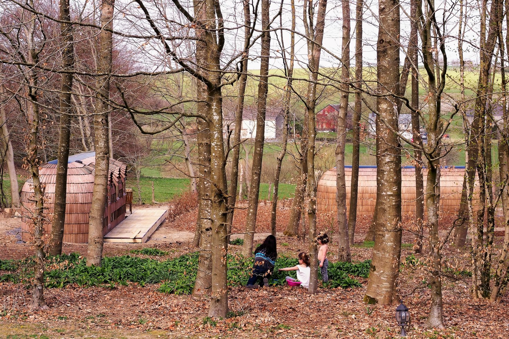 Maison nature à Vaux-sur-Sûre