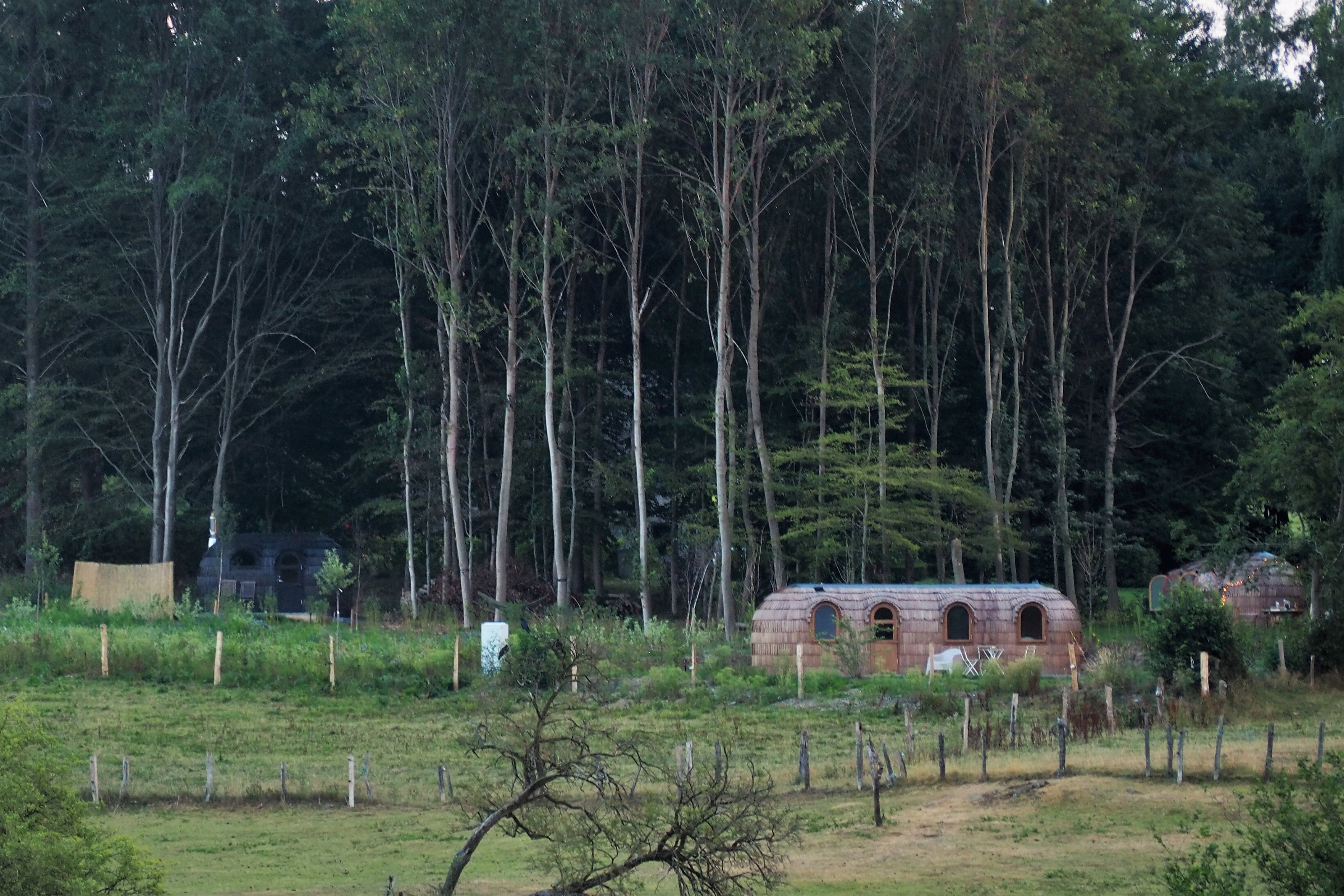Maison nature à Vaux-sur-Sûre