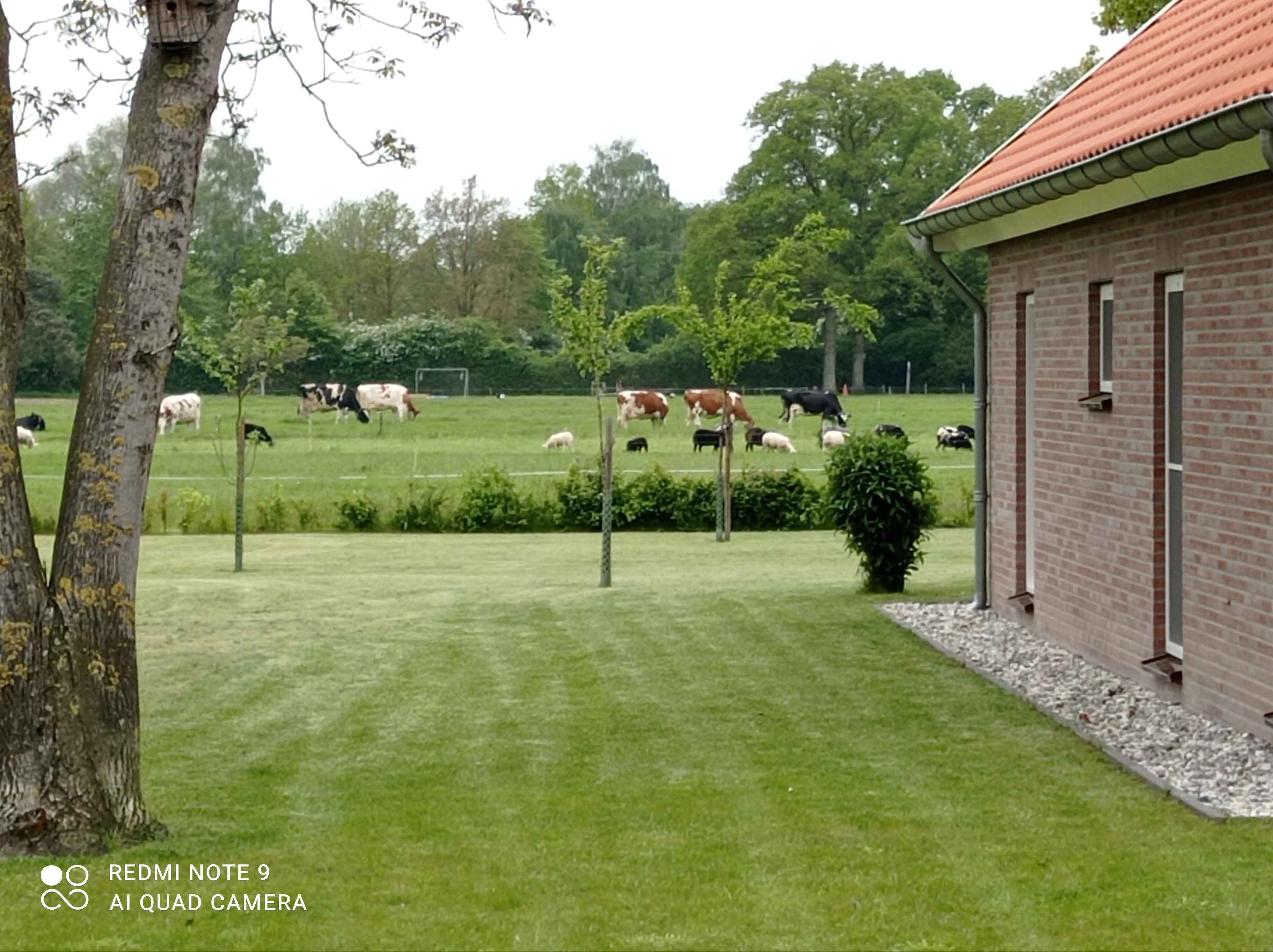 Maison nature à Geesteren