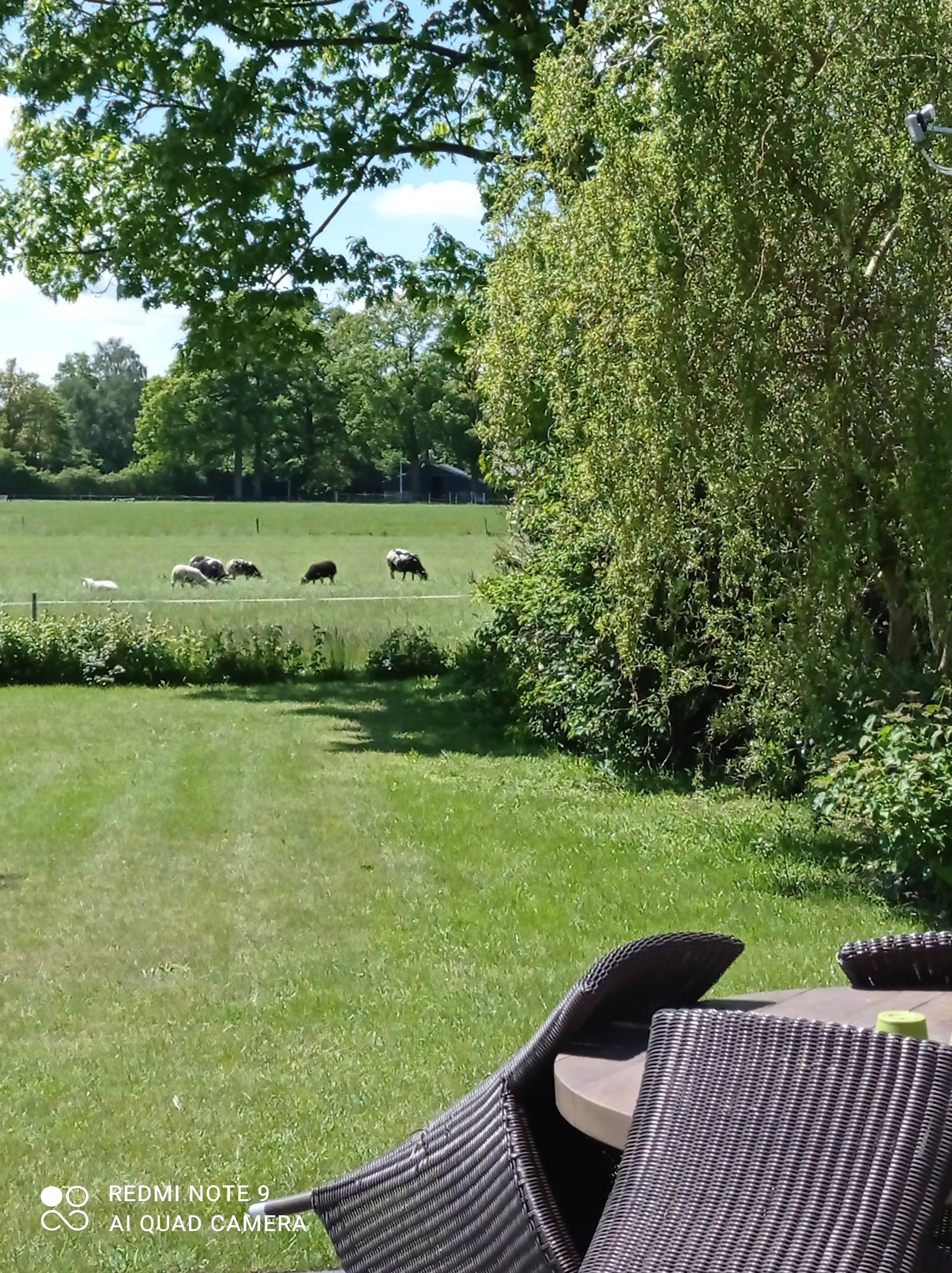Maison nature à Geesteren