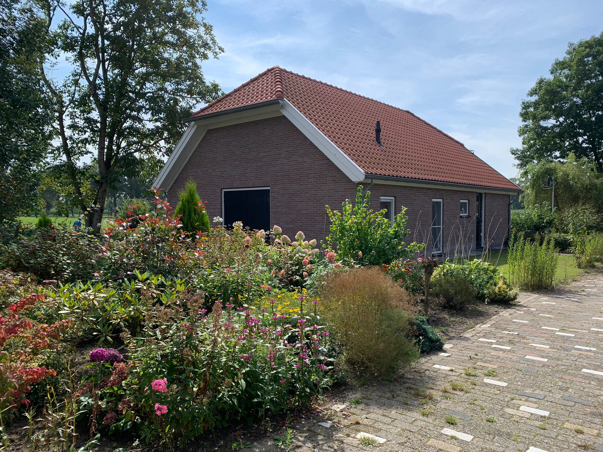 Maison nature à Geesteren