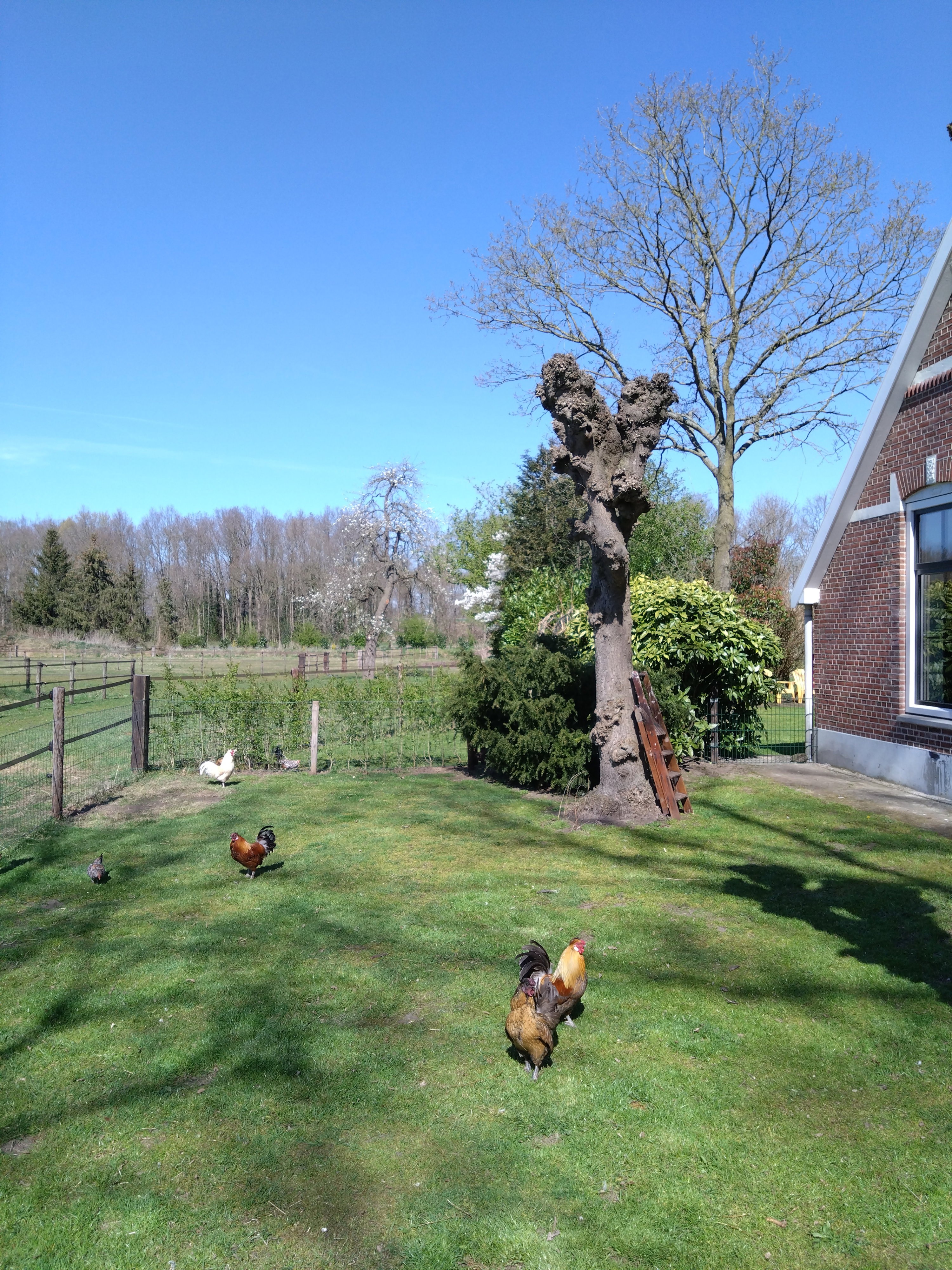 Naturhäuschen in Hengelo