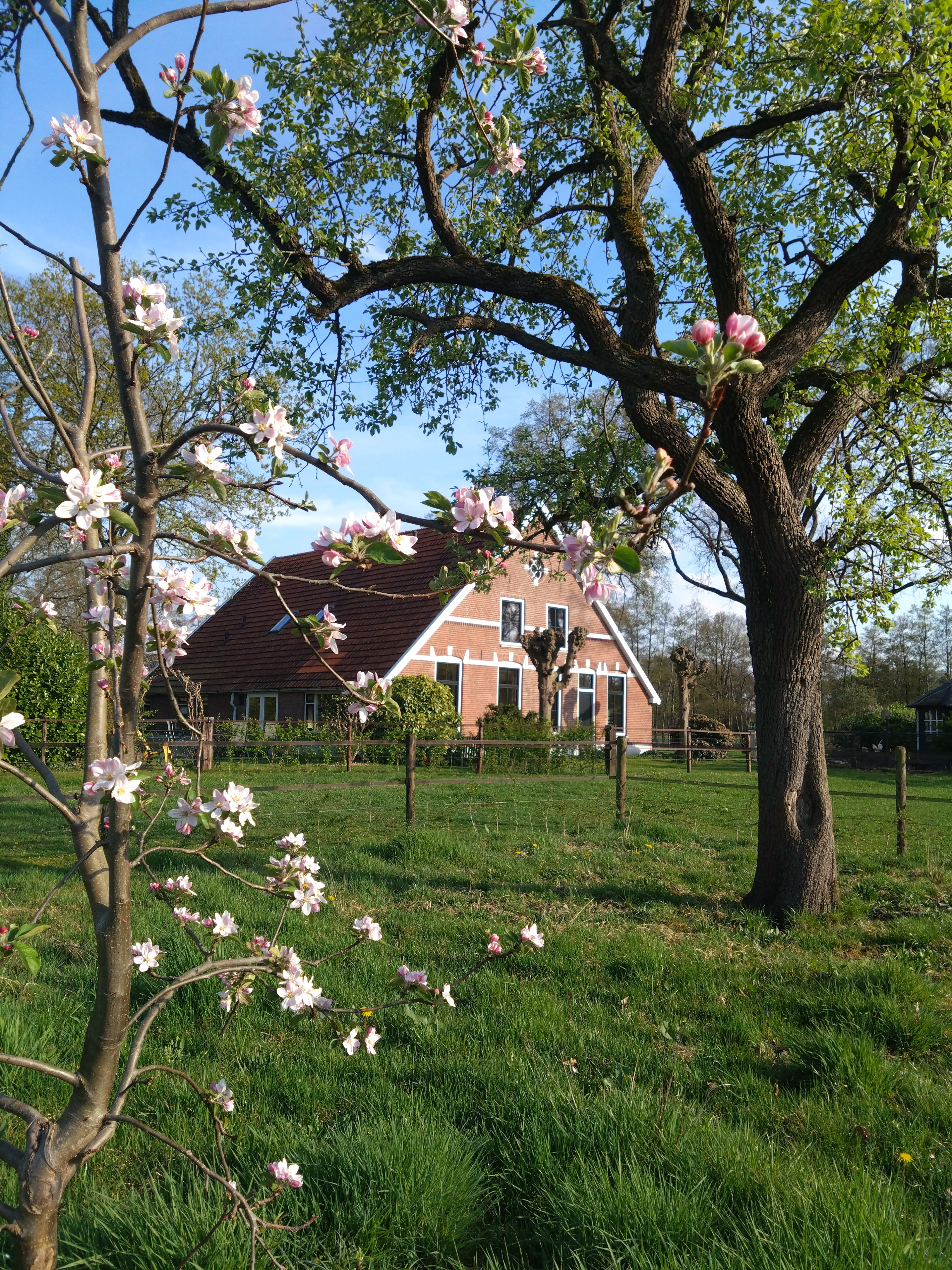 Naturhäuschen in Hengelo