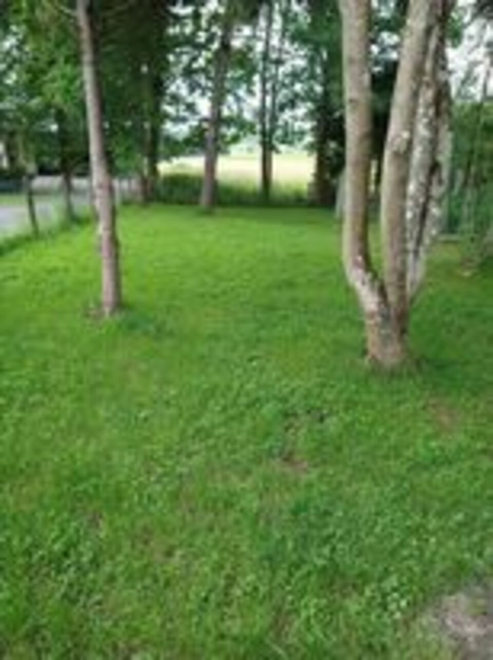 Maison nature à Achouffe_Houffalize_Wibrin