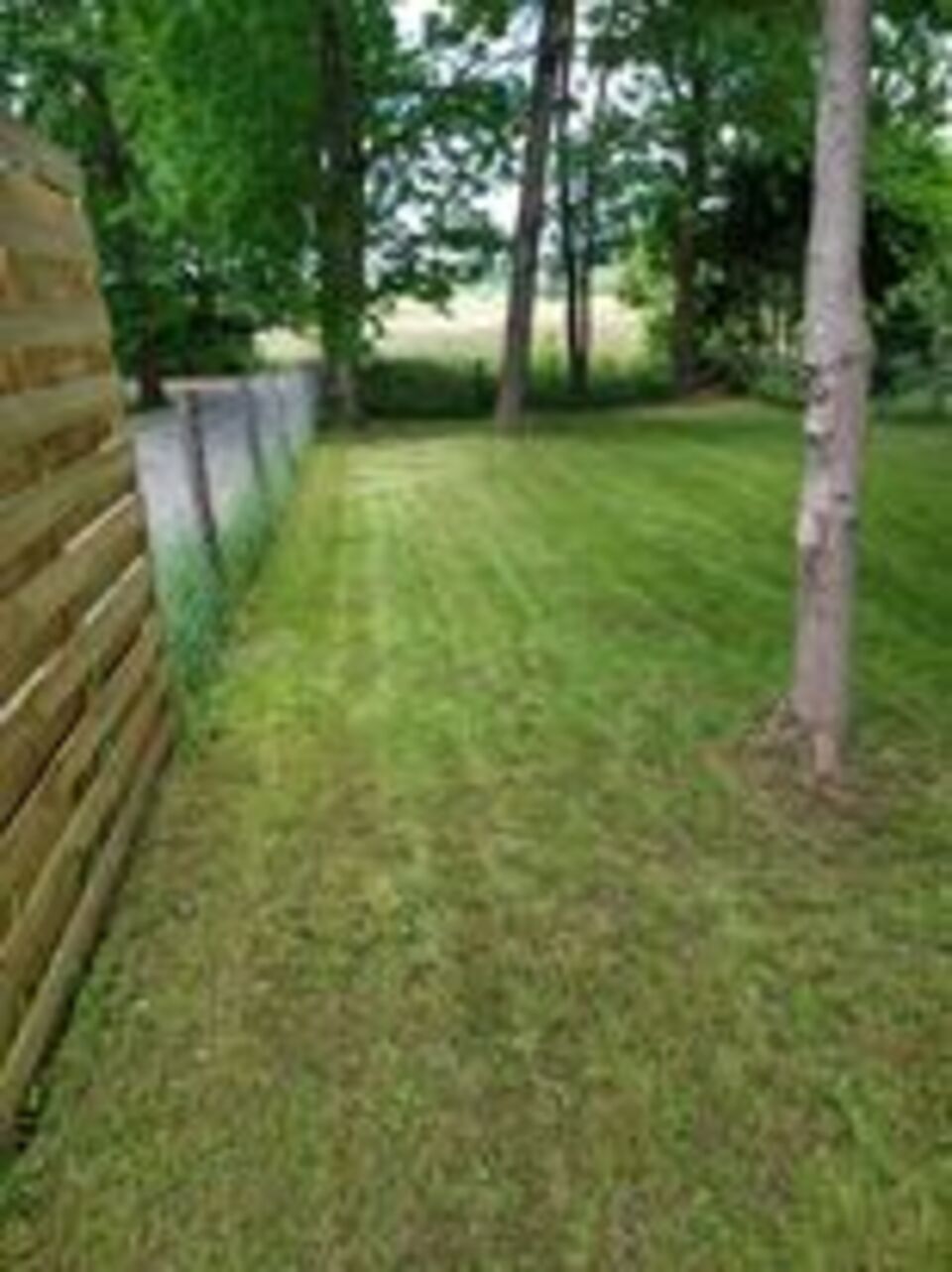 Maison nature à Achouffe_Houffalize_Wibrin