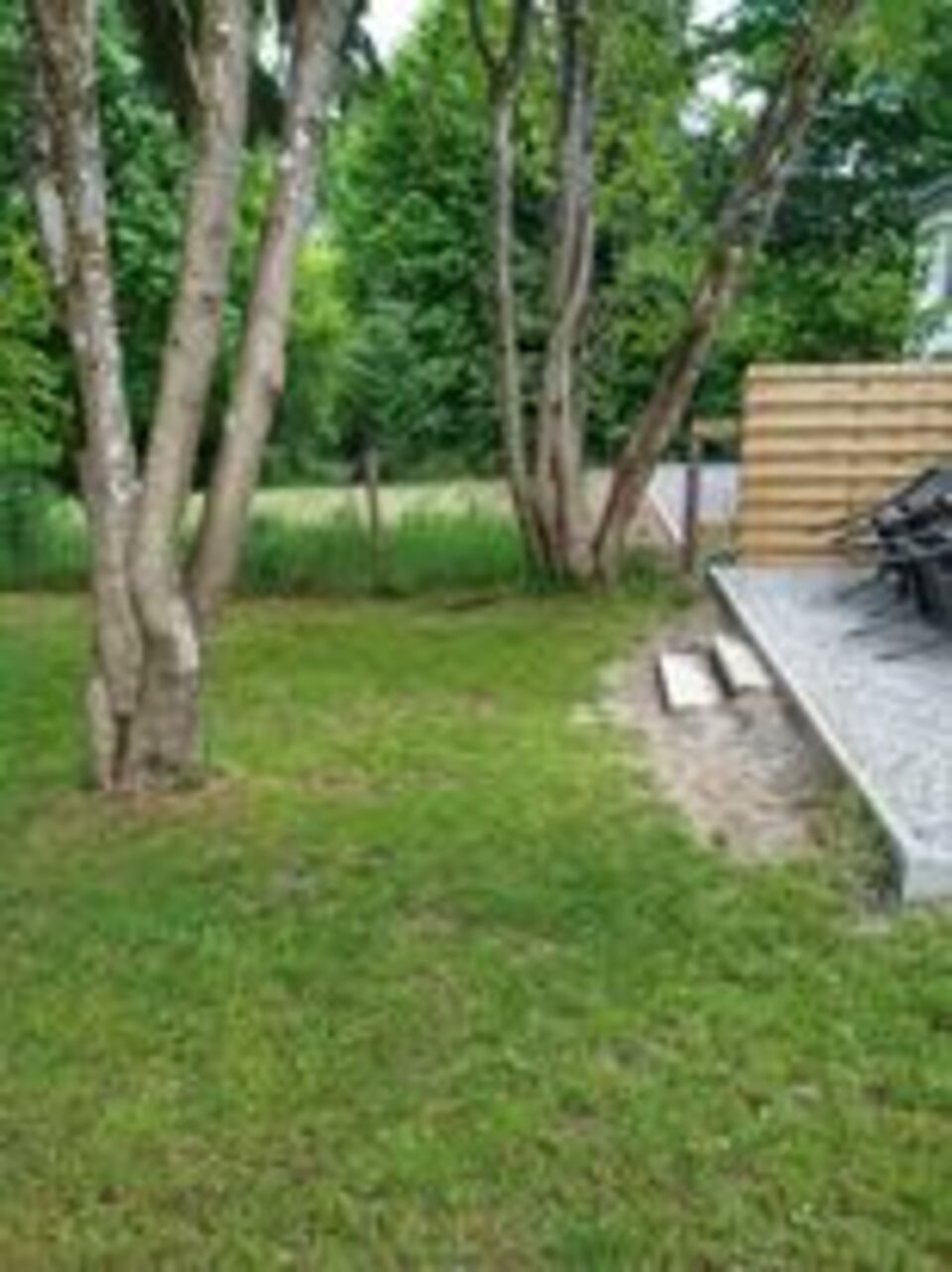 - image: 12