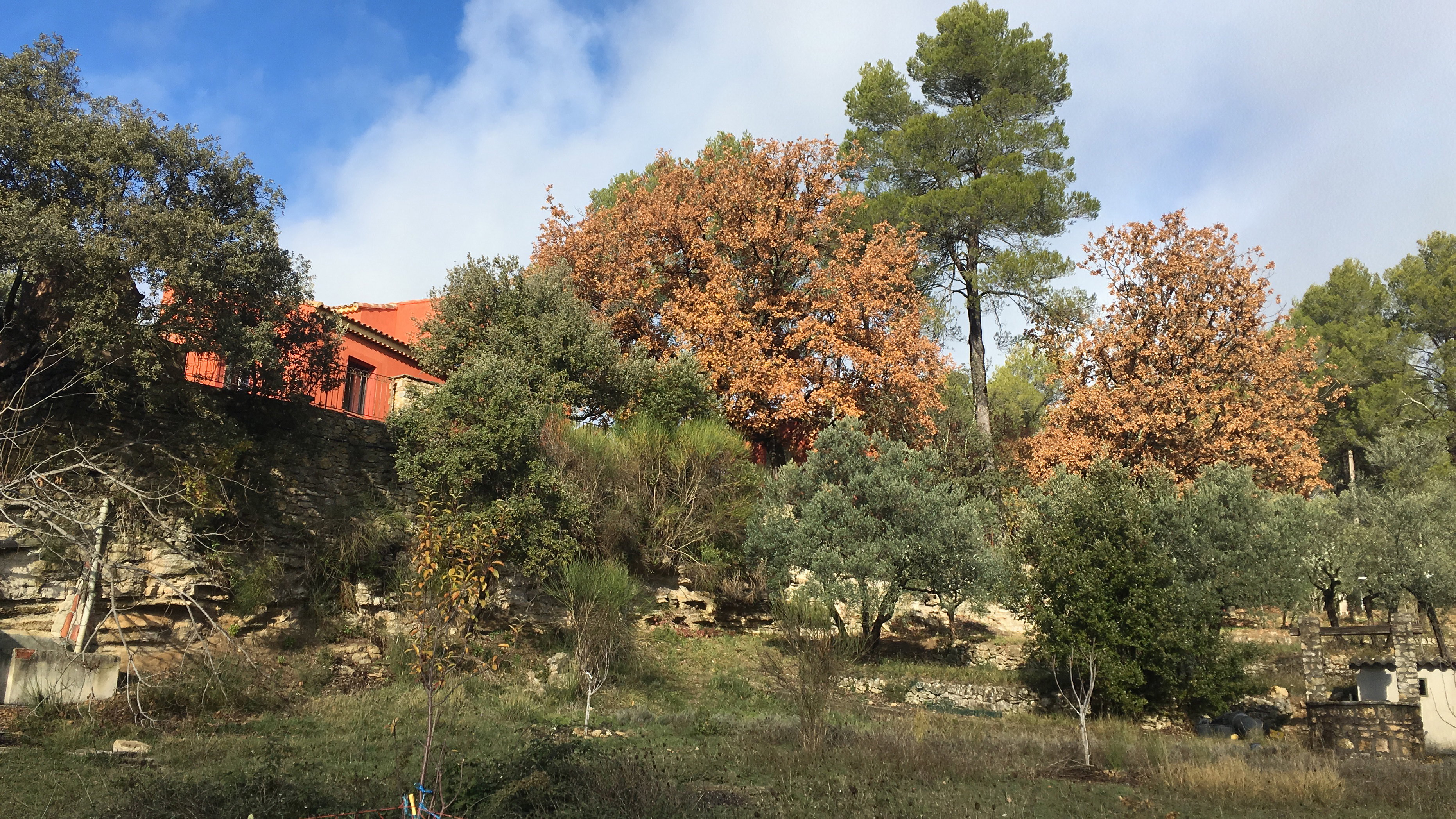 Nature house in Barjols