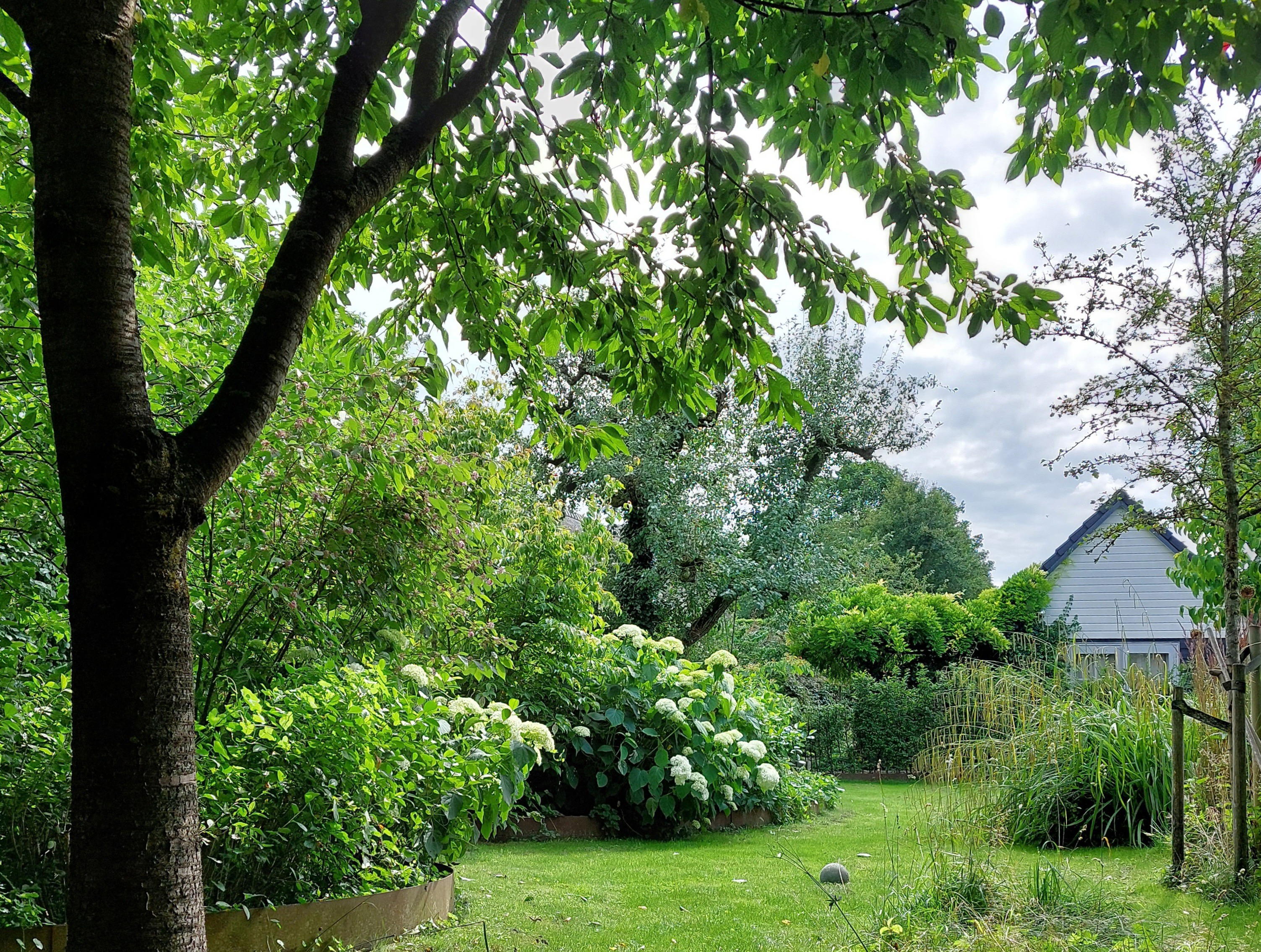 Natuurhuisje in Herwen