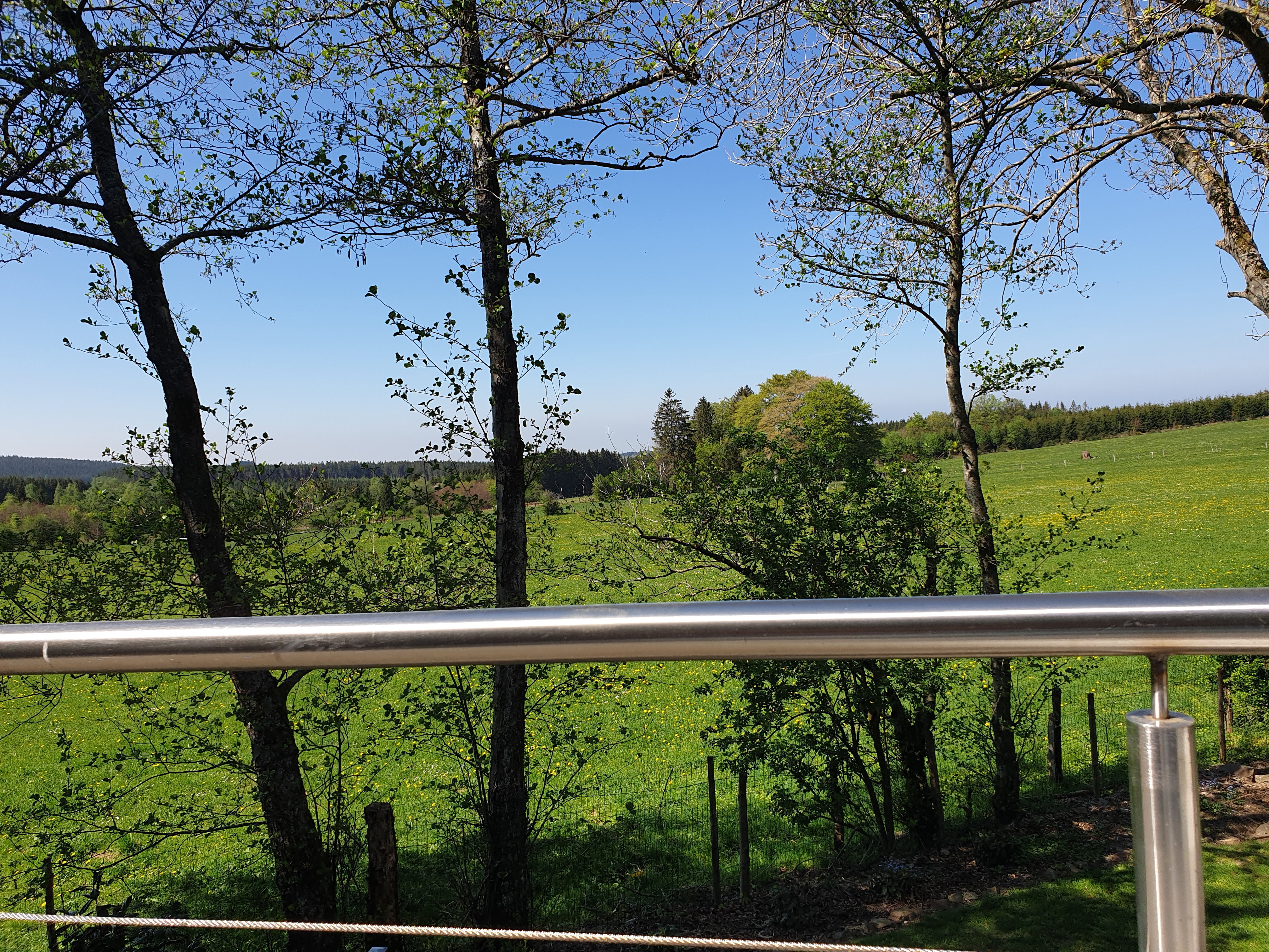 Natuurhuisje in La roche-en-ardenne