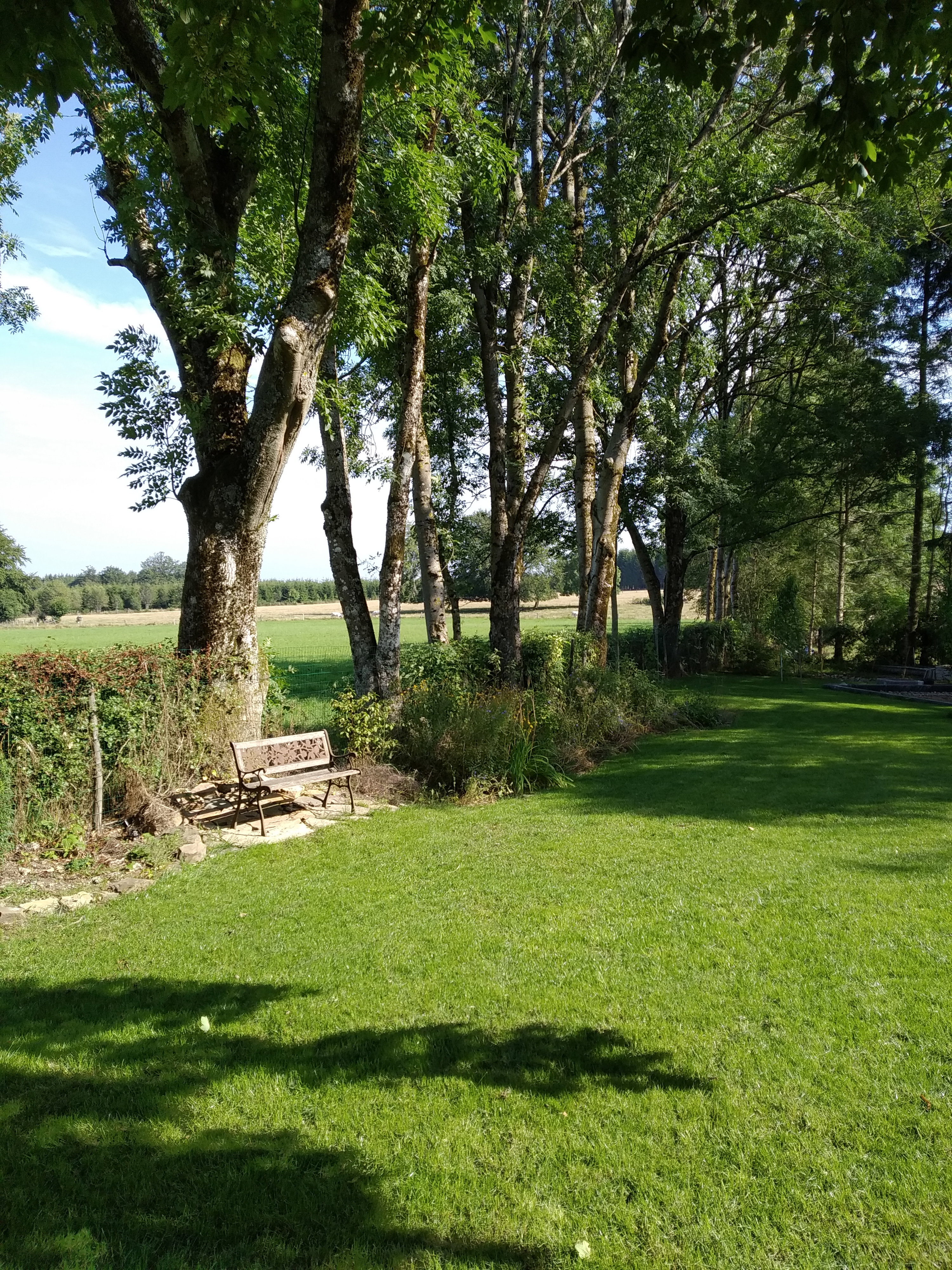 Natuurhuisje in La roche-en-ardenne