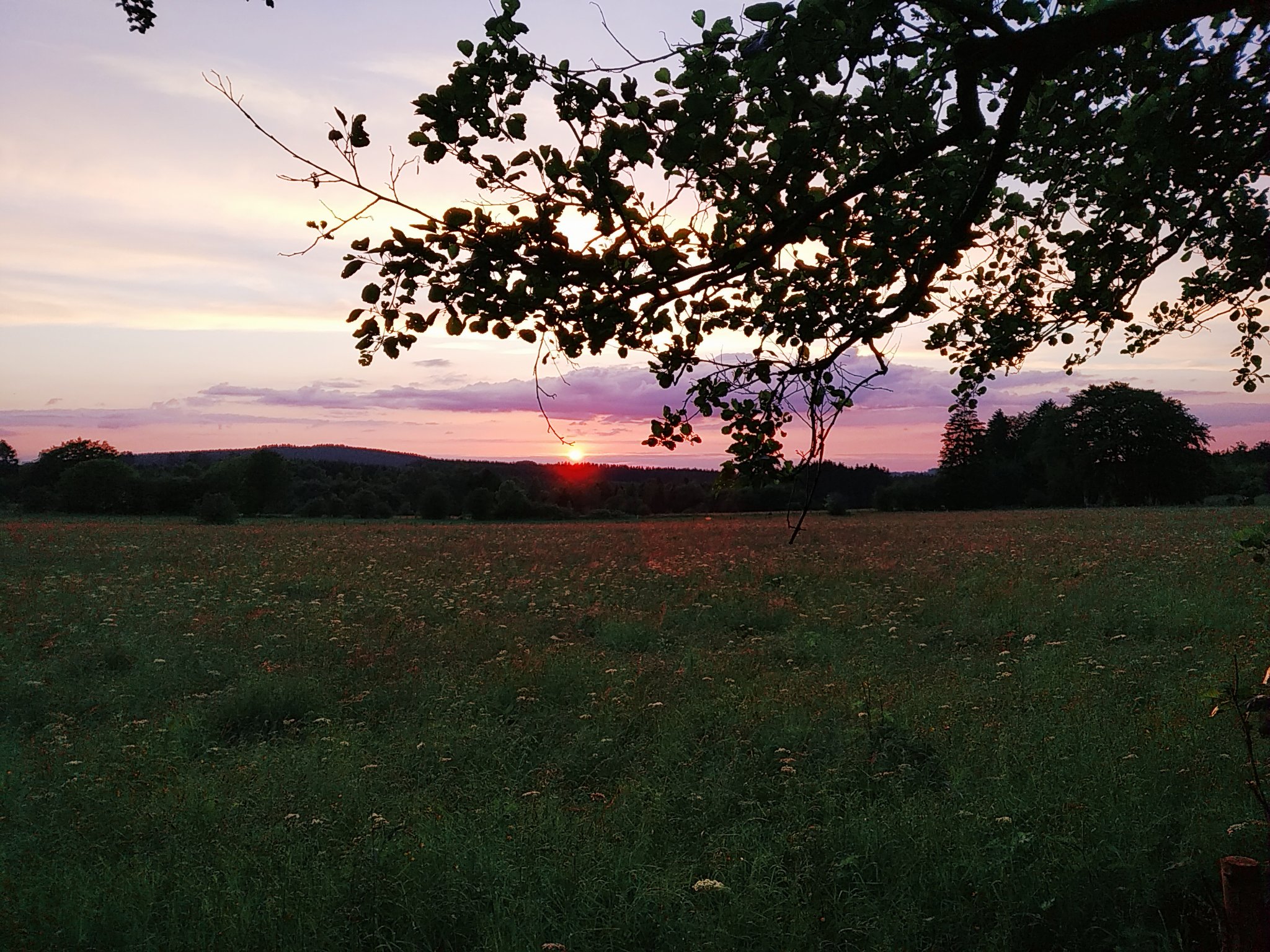 Natuurhuisje in La roche-en-ardenne