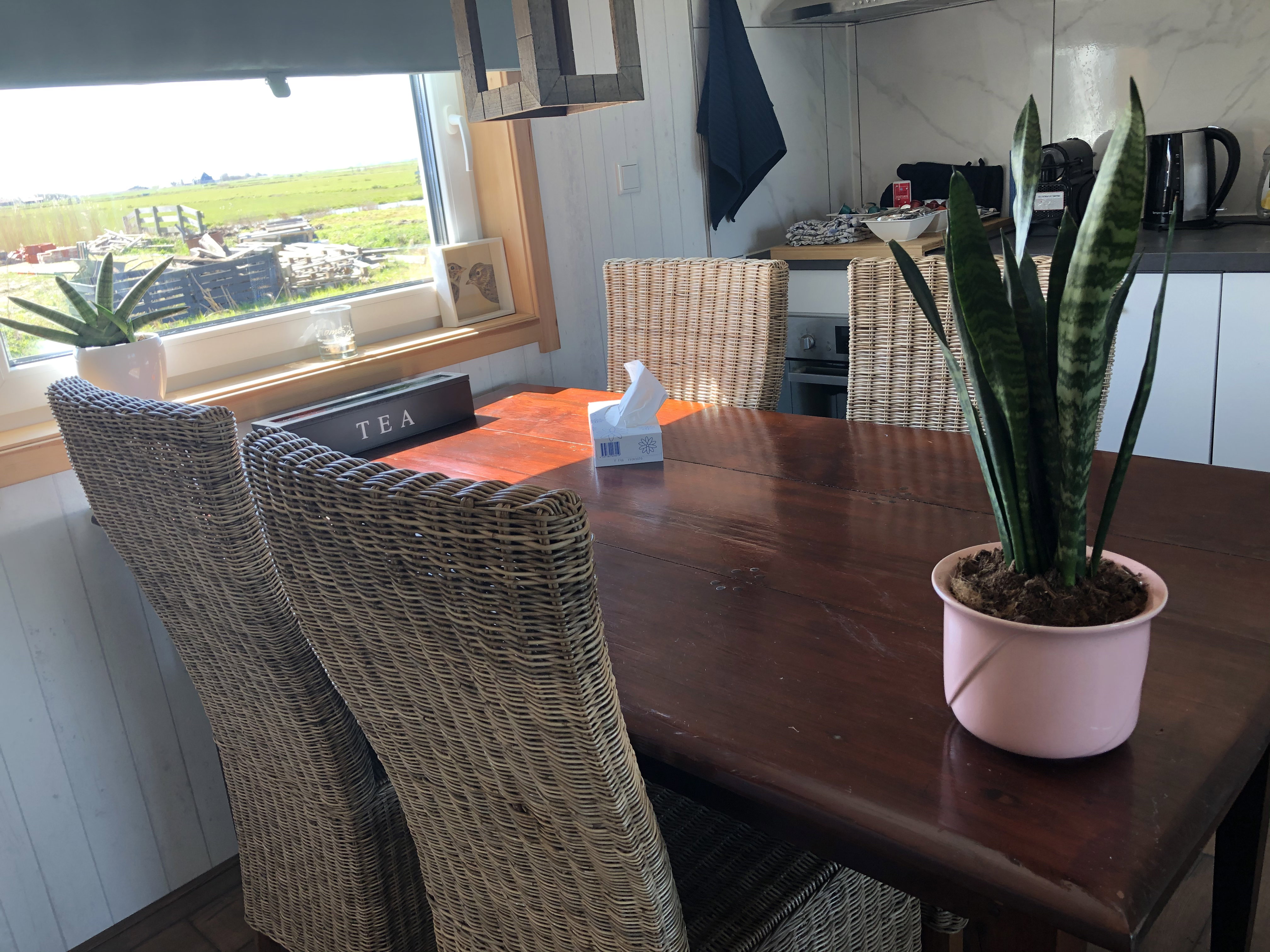 Maison nature à de Woude