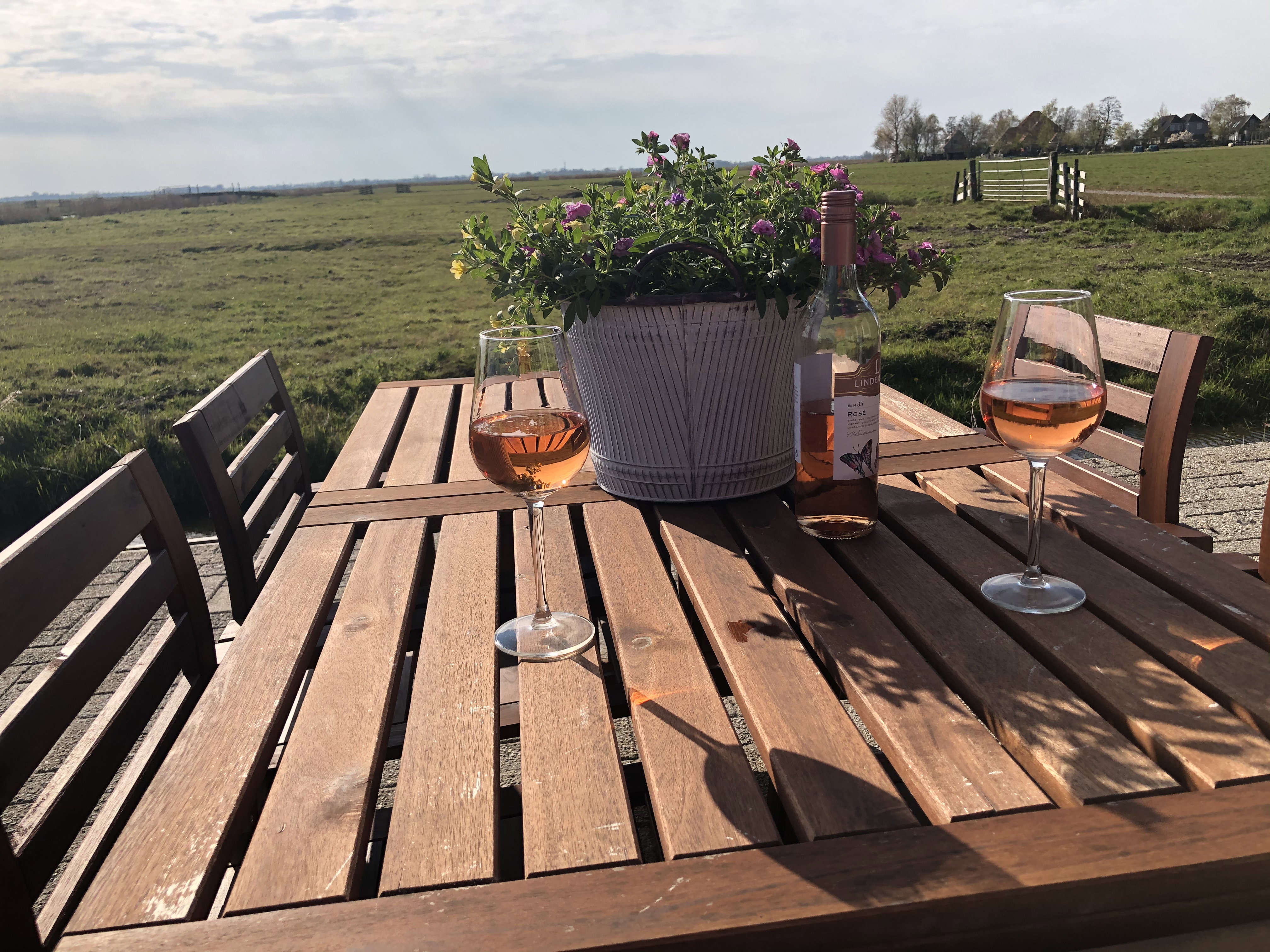 Maison nature à de Woude