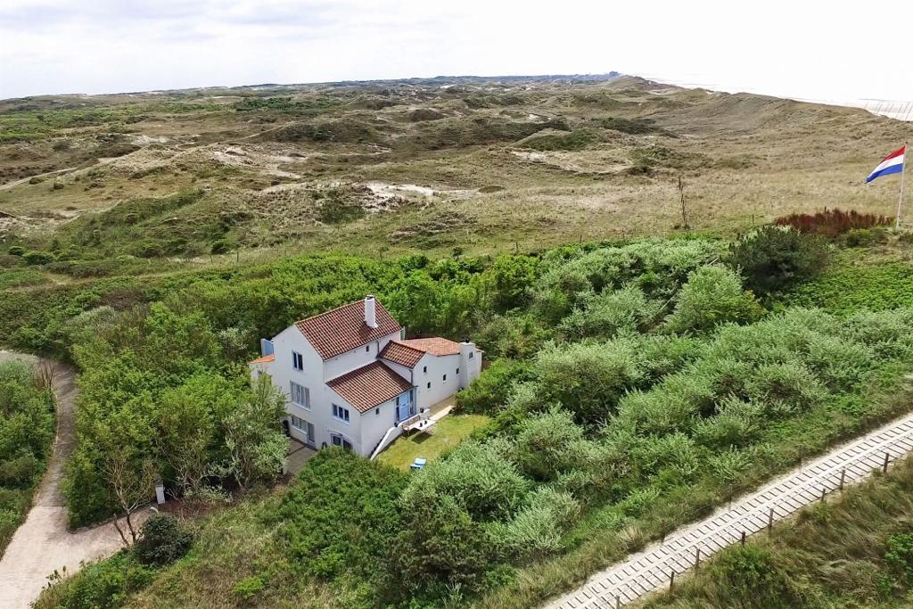 - image: 1