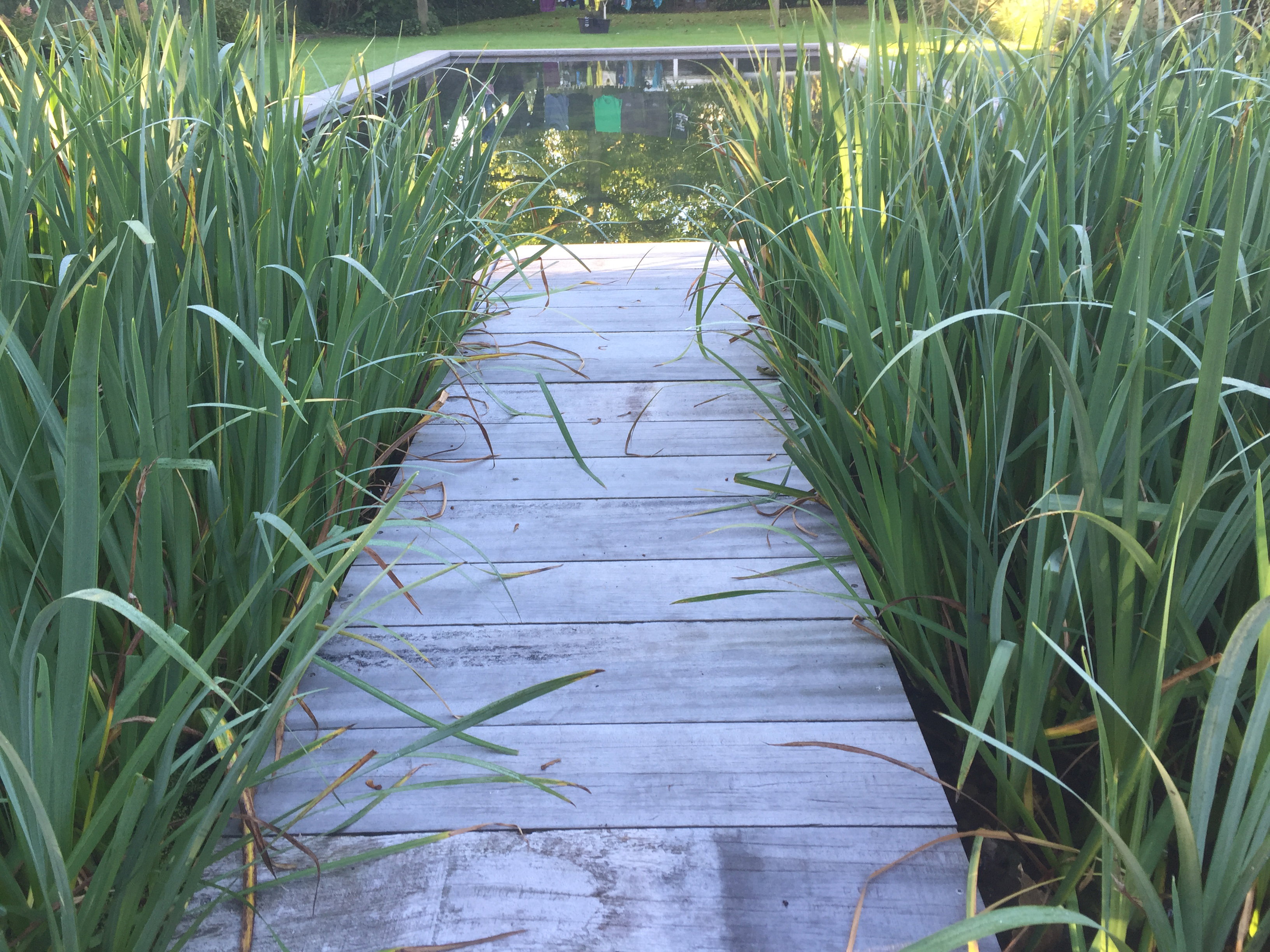 Naturhäuschen in Hoeven